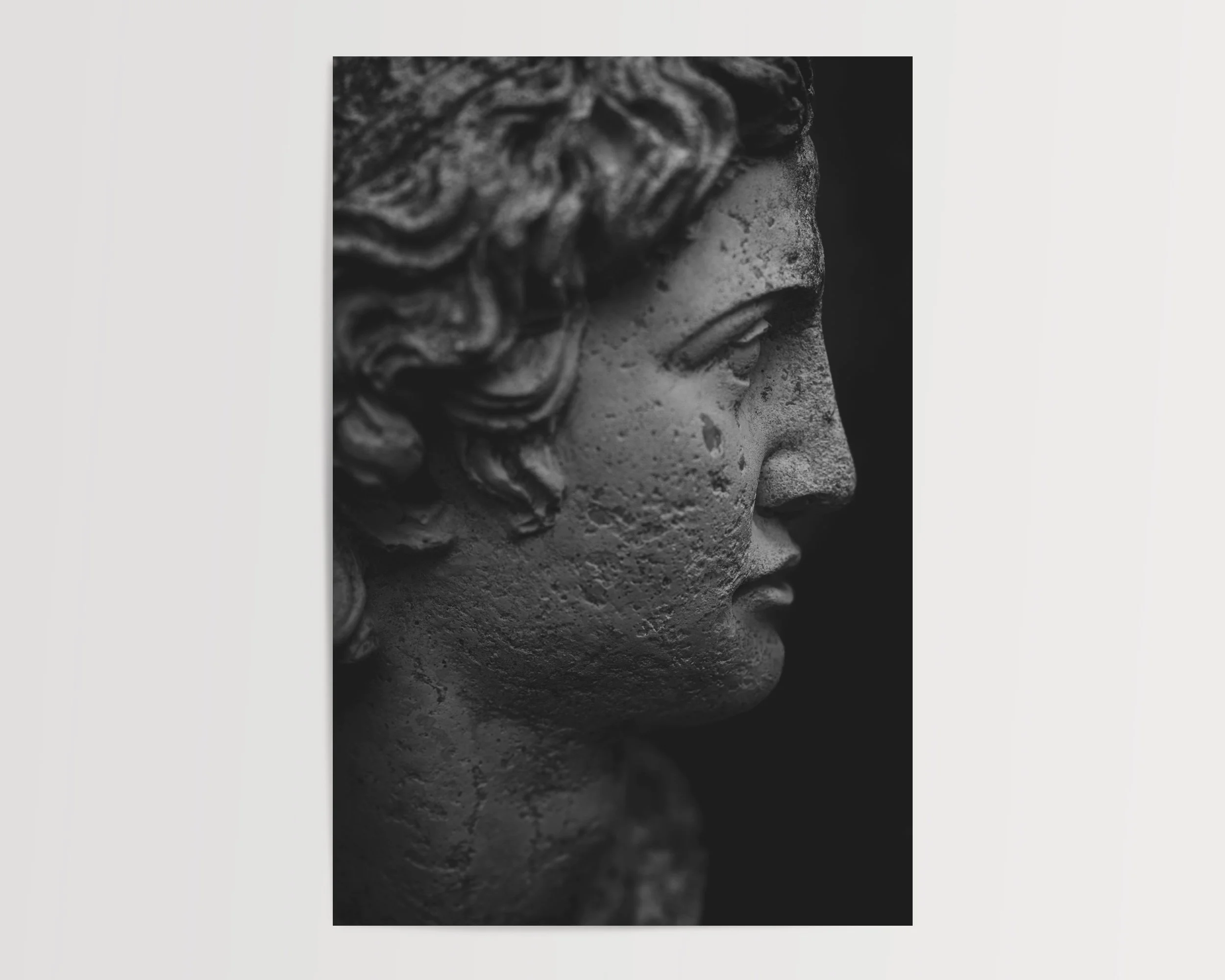 2x3Paper_Vertical_ROMA.jpg