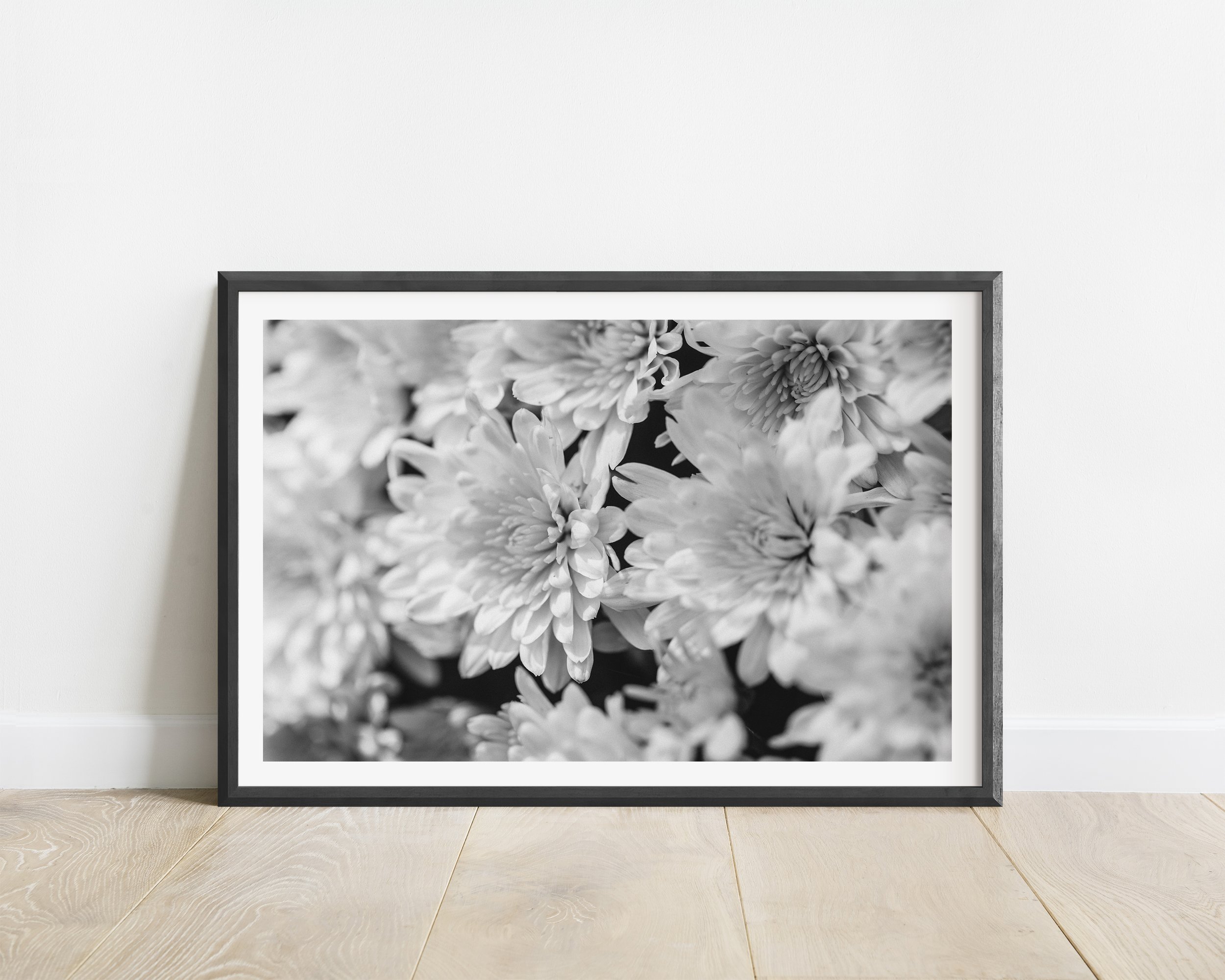 2x3_BlackFrame_Horizontal_WALLFLOWERS.jpg