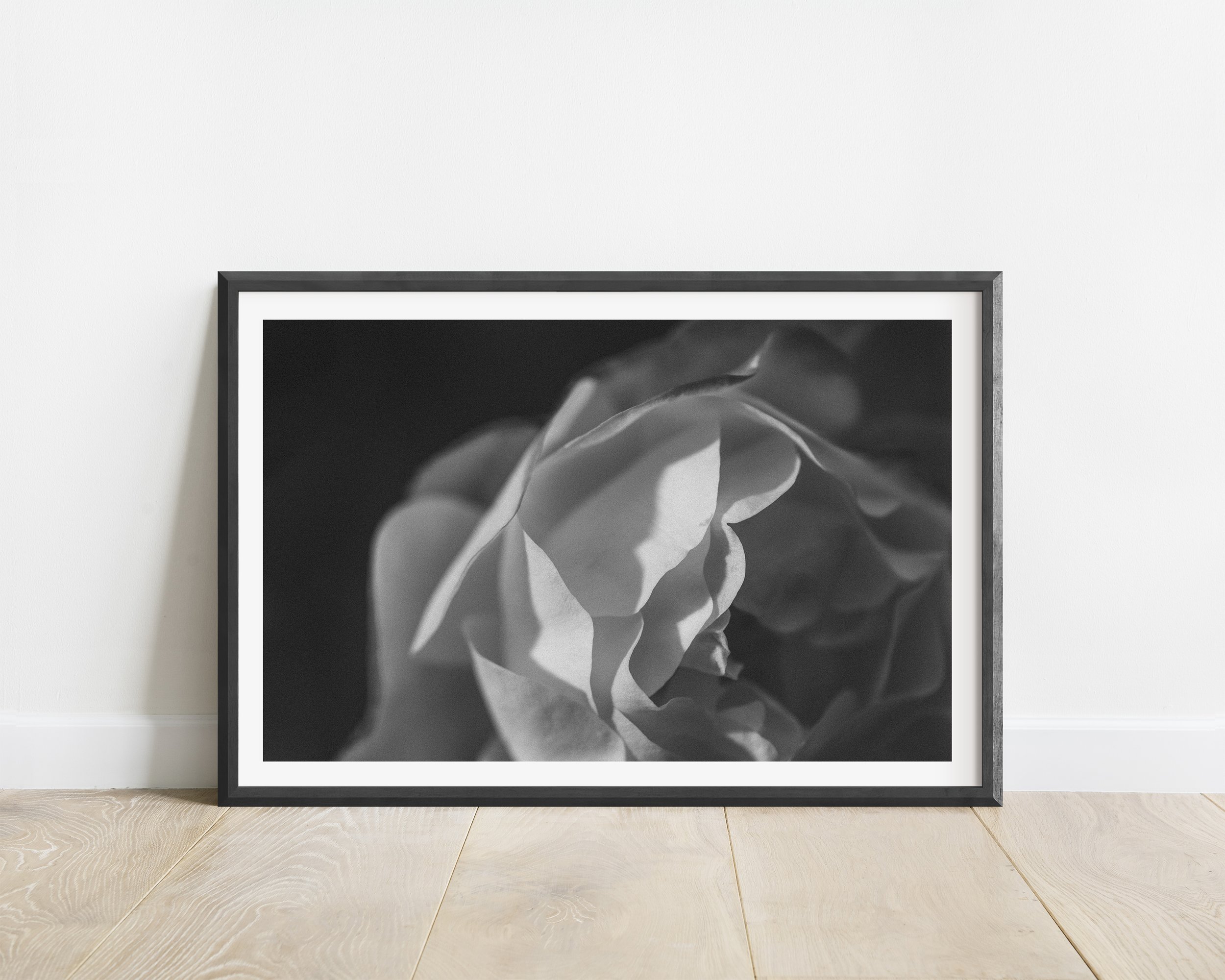 2x3_BlackFrame_Horizontal_ROSE.jpg