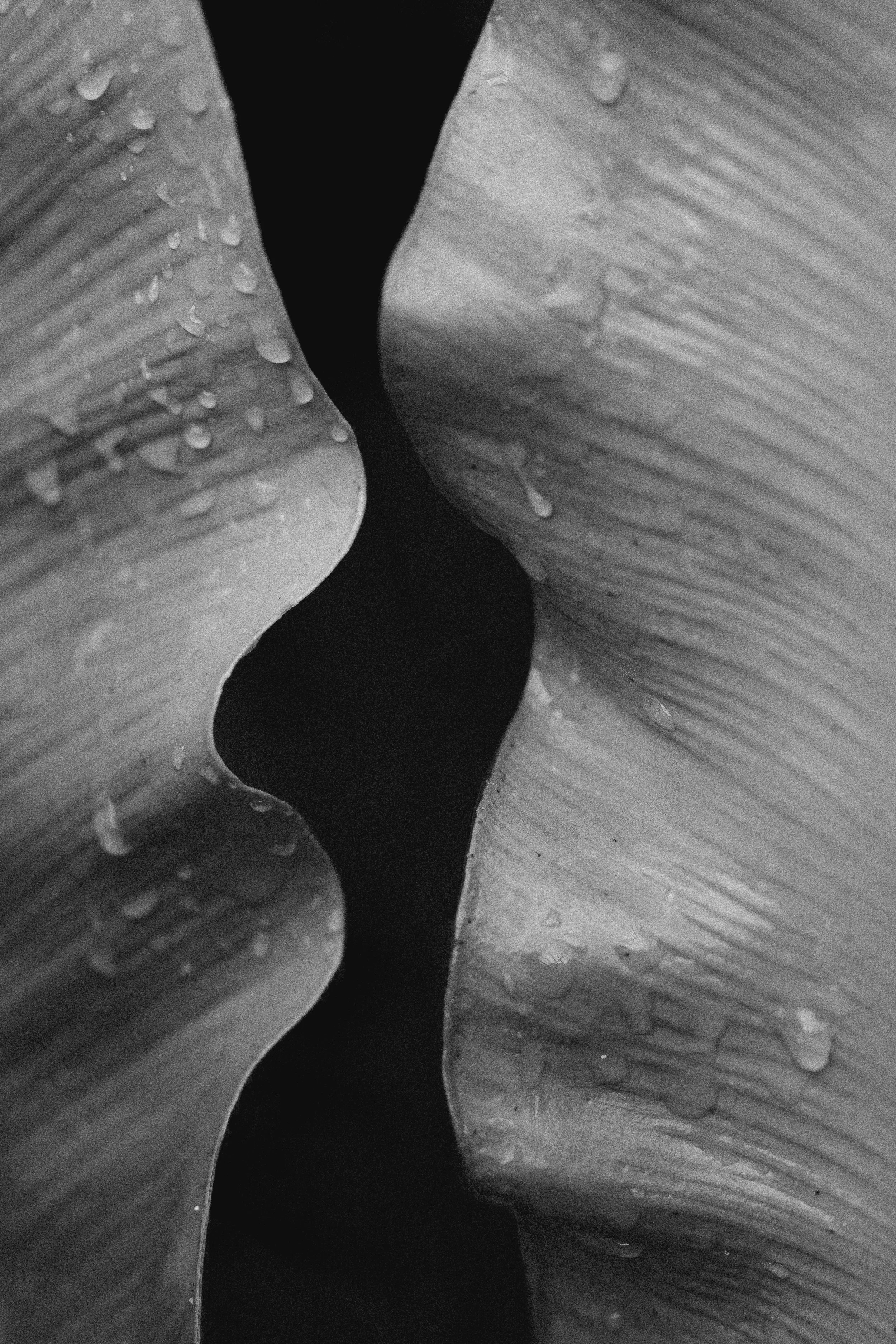 RachelRichardsFineArt-106 copy.jpg