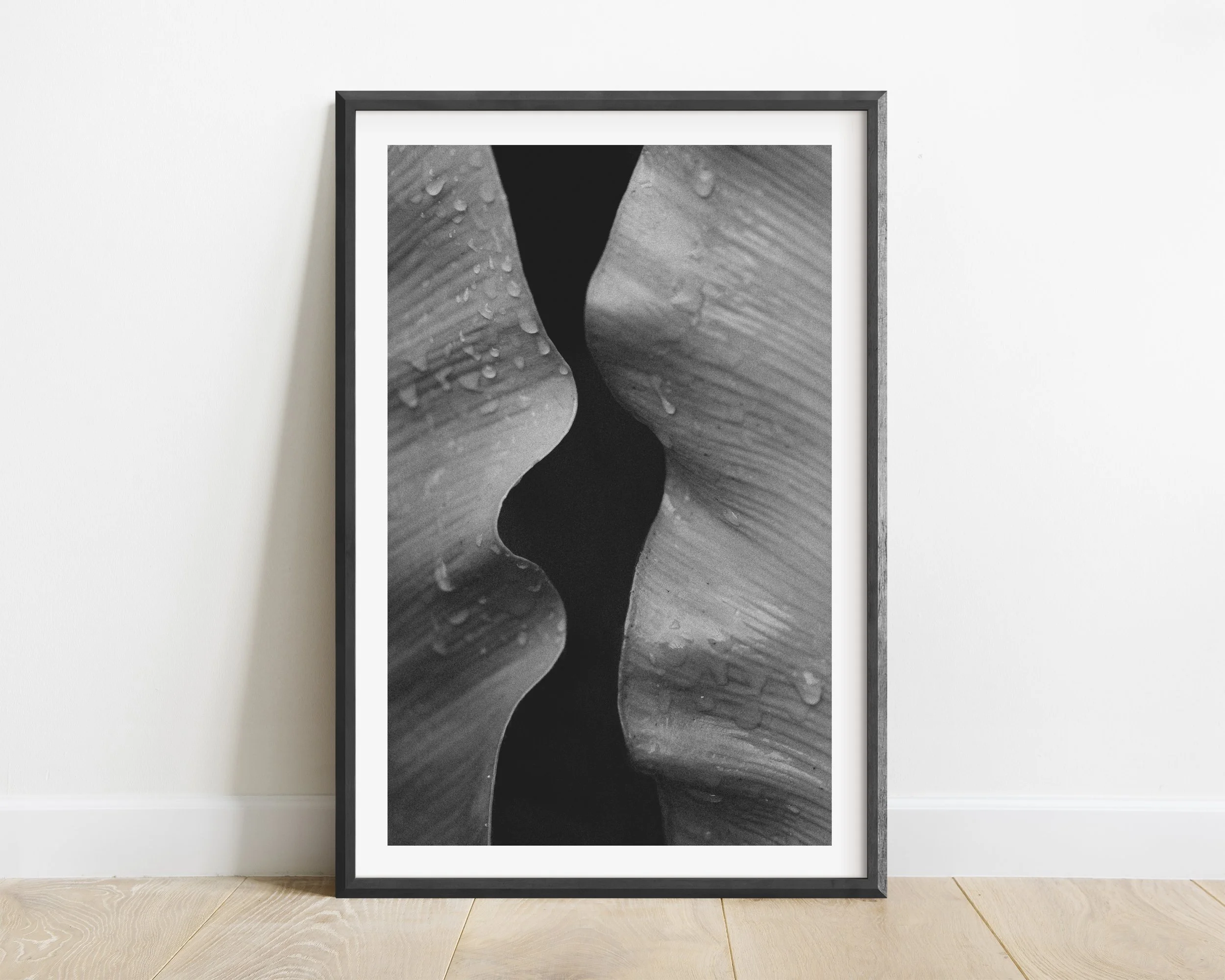 2x3_BlackFrame_Vertical_BETWEEN.jpg
