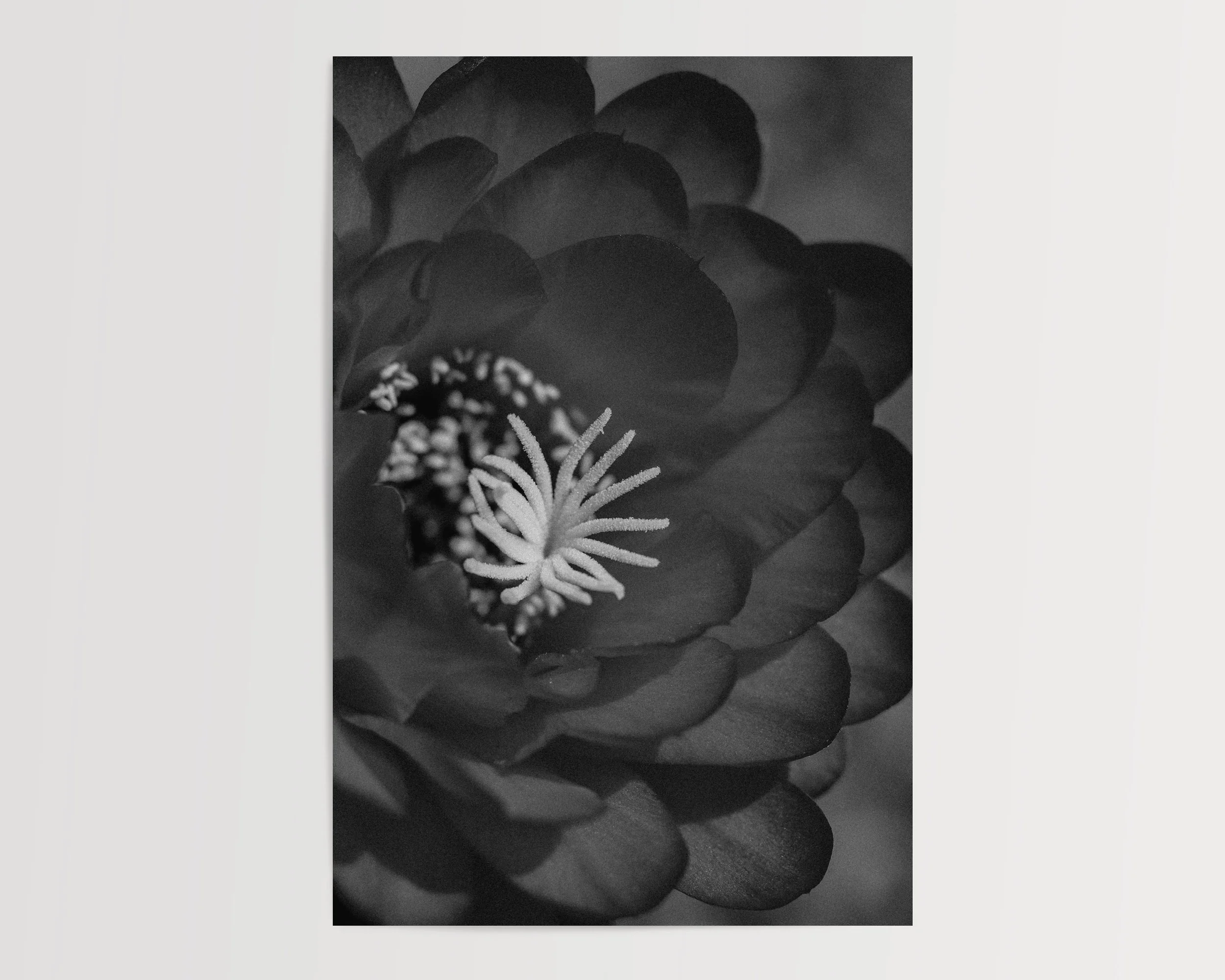 2x3Paper_Vertical_DARKEN.jpg