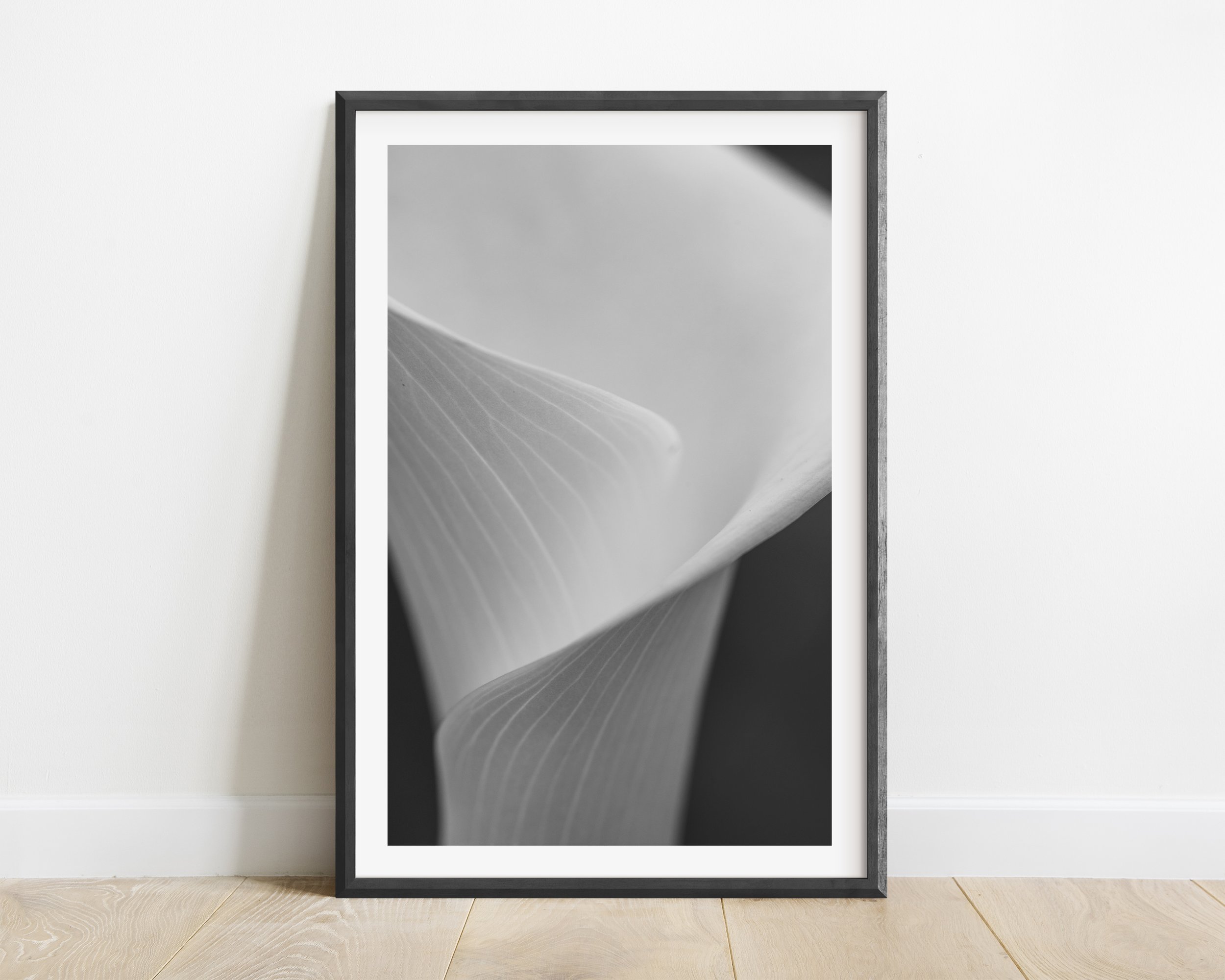 2x3_BlackFrame_Vertical_PURE.jpg