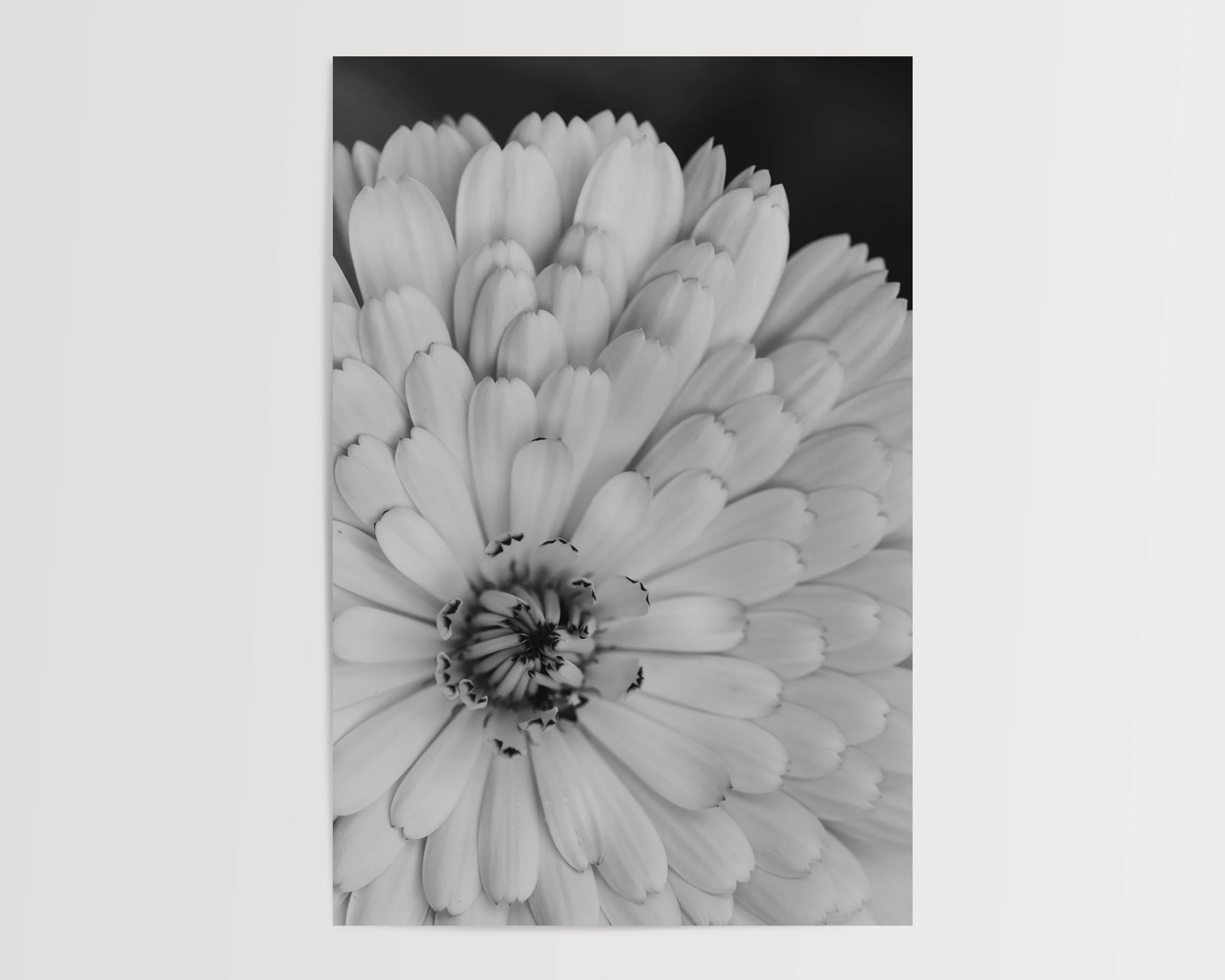 2x3Paper_Vertical_OPEN.jpg