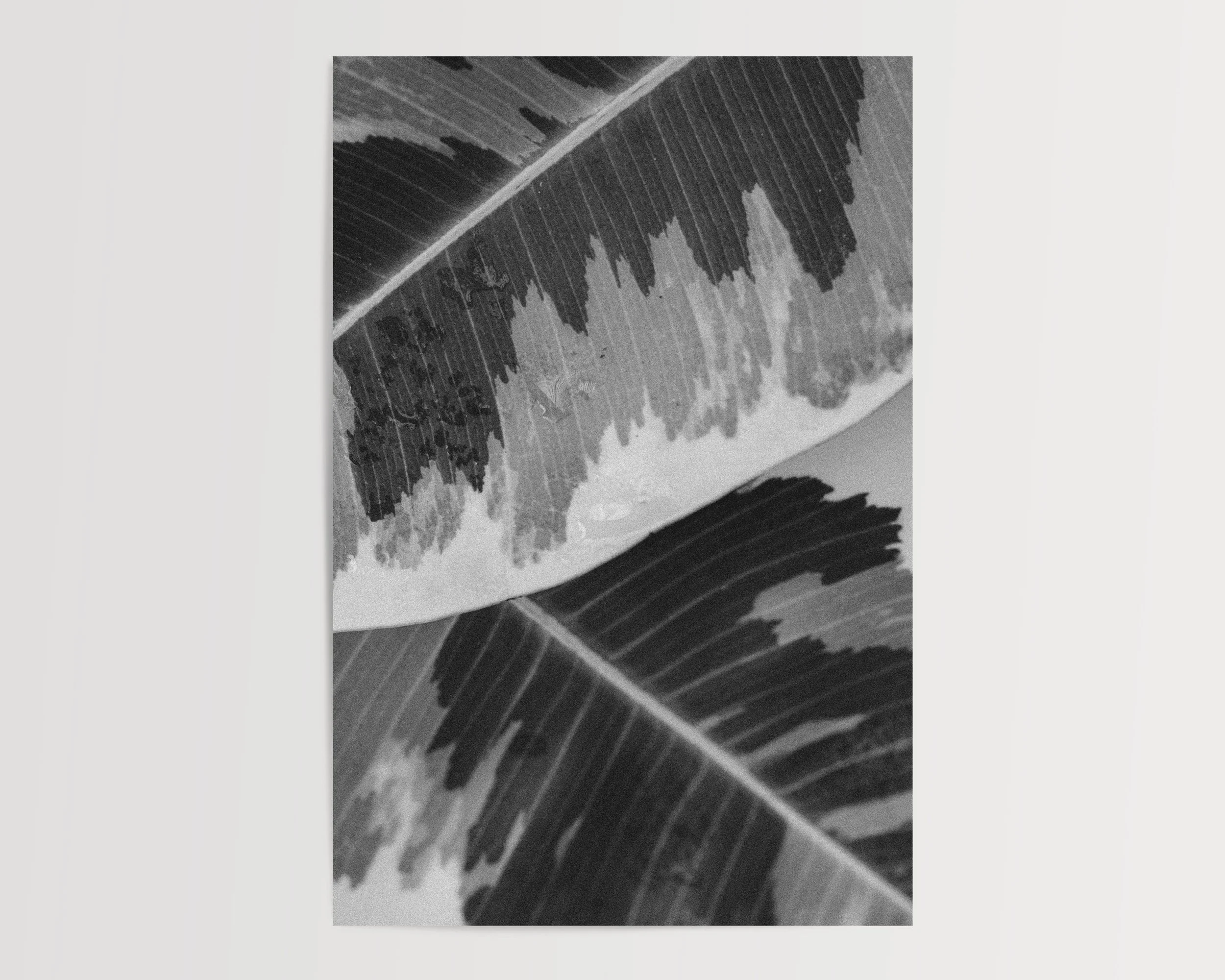 2x3Paper_Vertical_COLORBLOCK.jpg