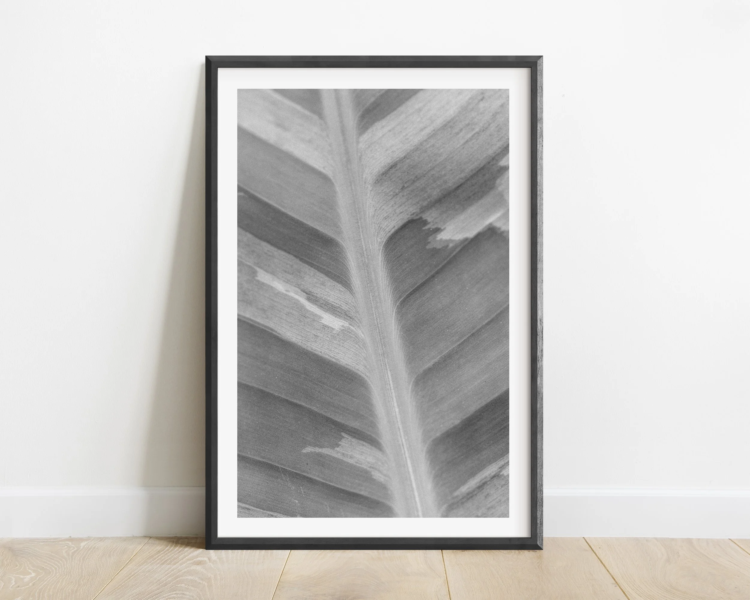 2x3_BlackFrame_Vertical_brushstroke.jpg