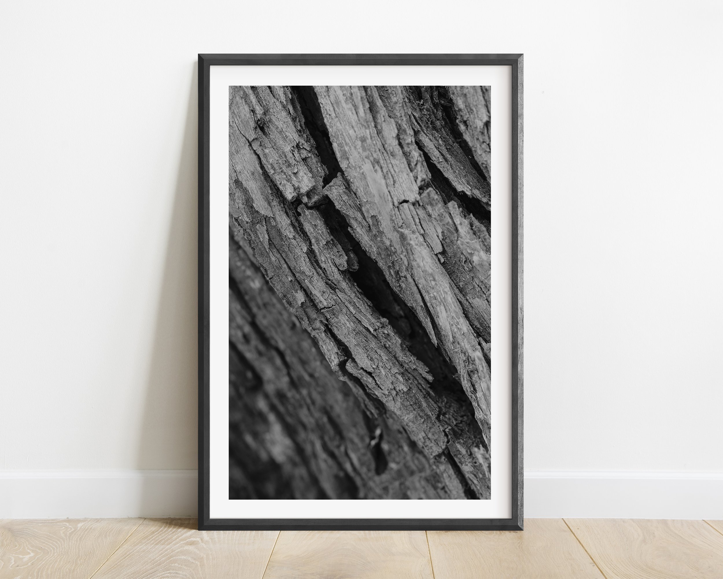 Framed modern black and white tree bark photography wall art print for modern spaces