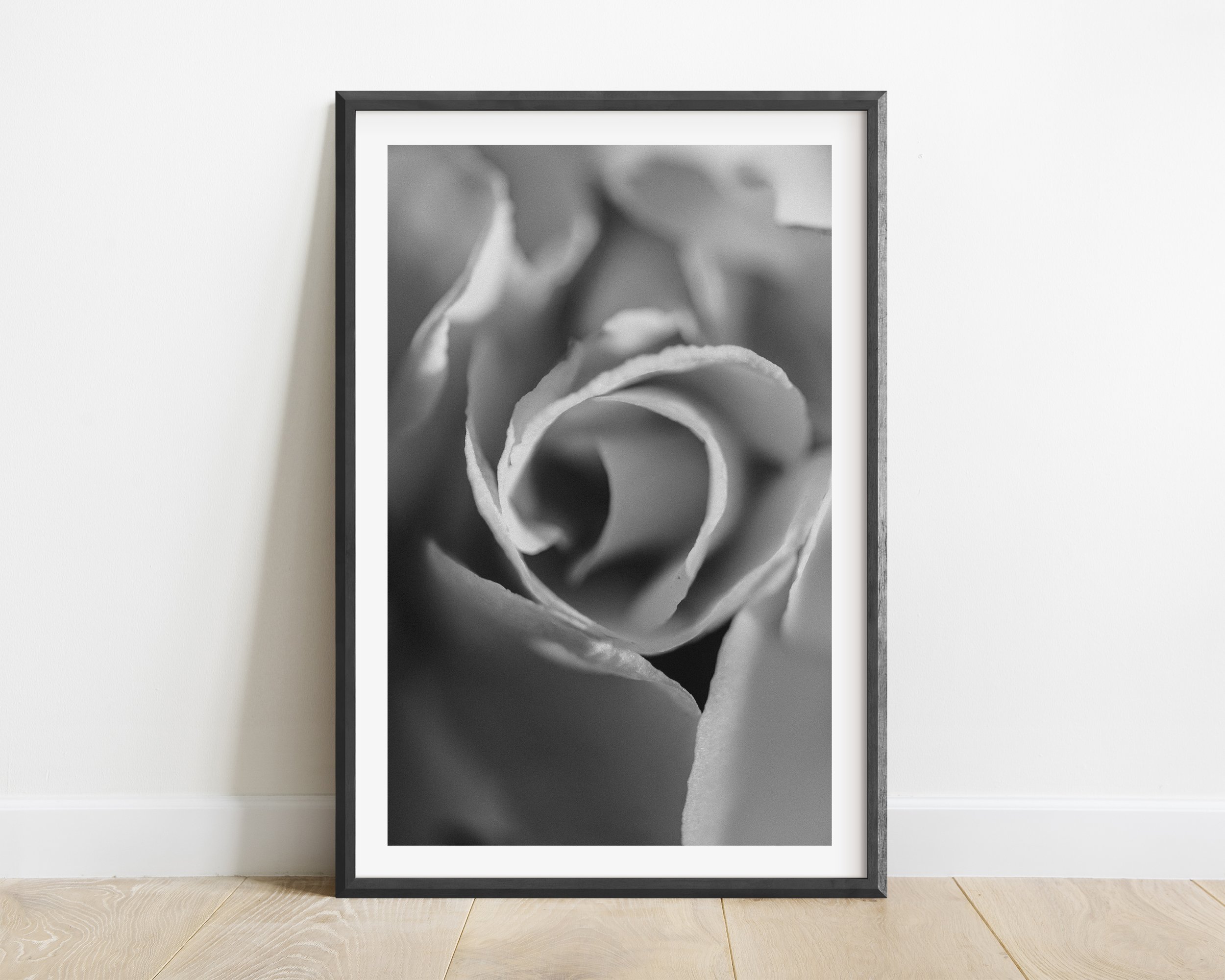 2x3_BlackFrame_Vertical_CIRCLE.jpg