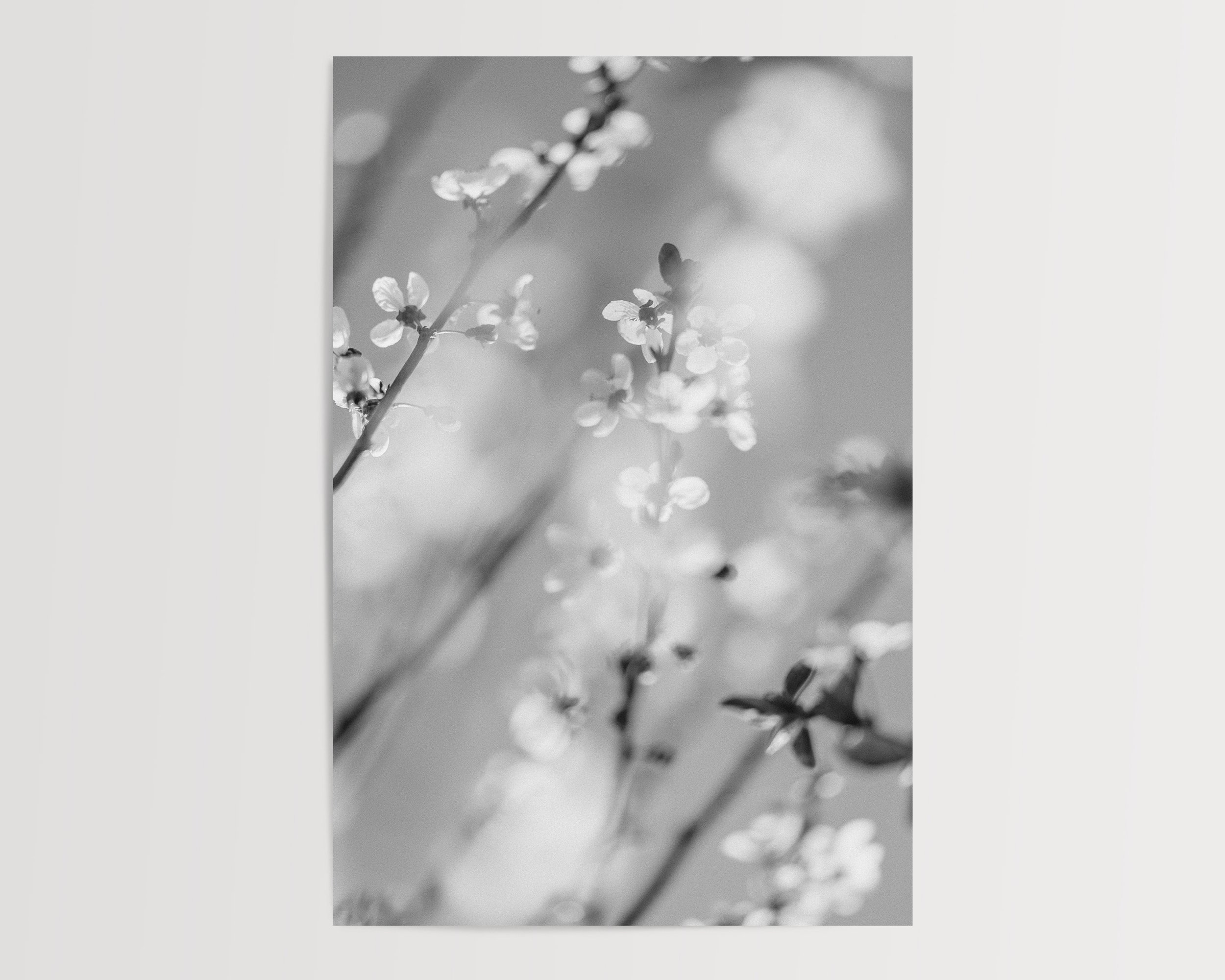 2x3Paper_Vertical_BLOSSOM.jpg