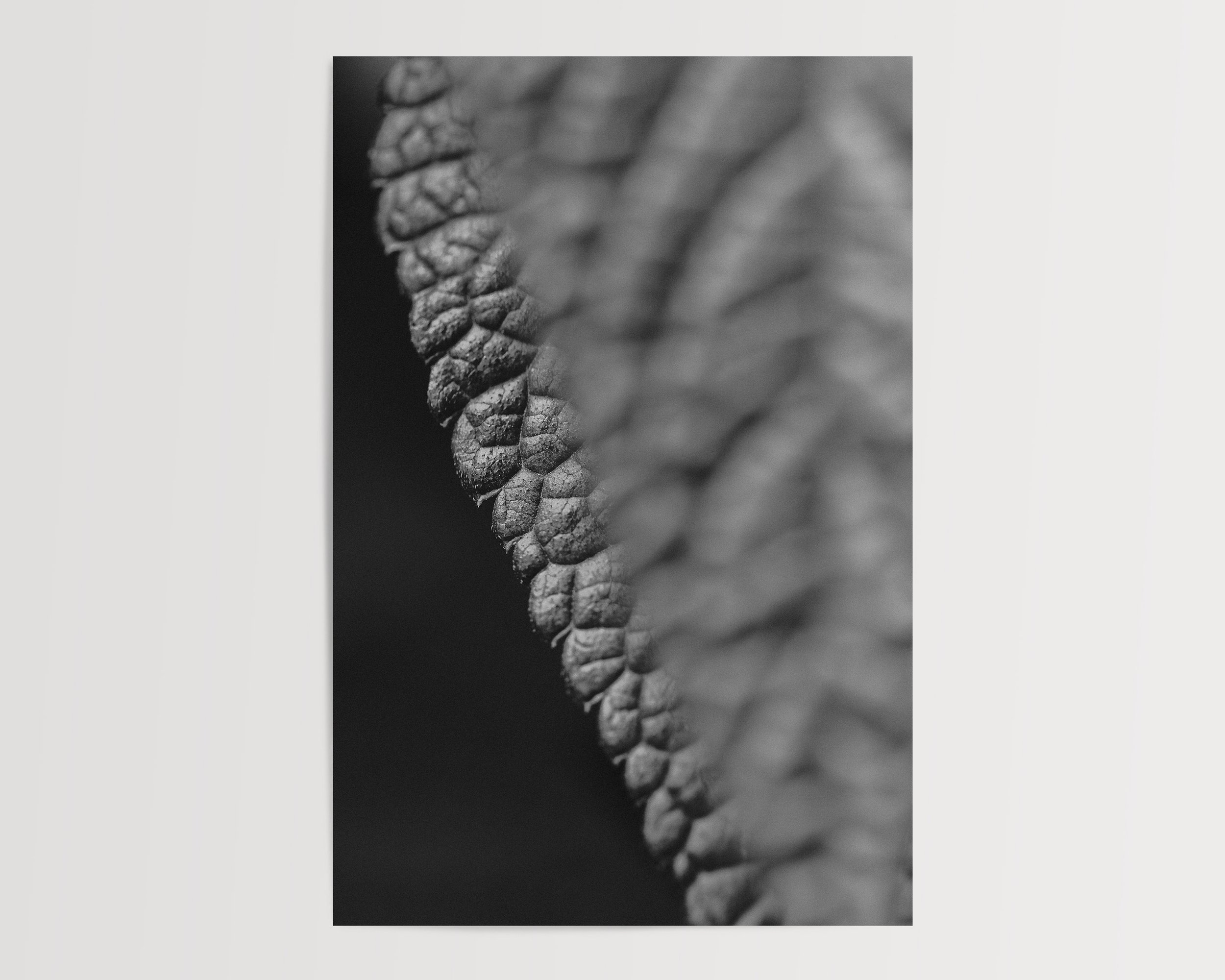2x3Paper_Vertical_LEAF.jpg