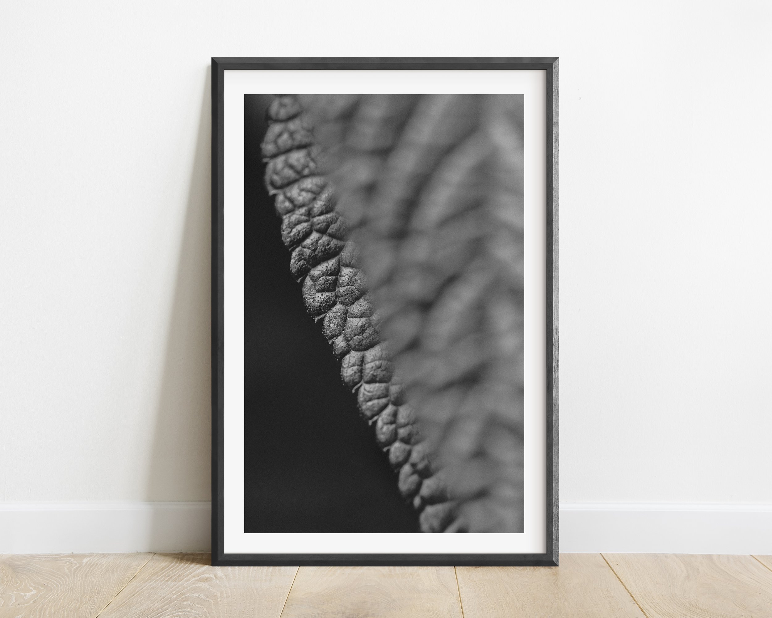 2x3_BlackFrame_Vertical_LEAF.jpg