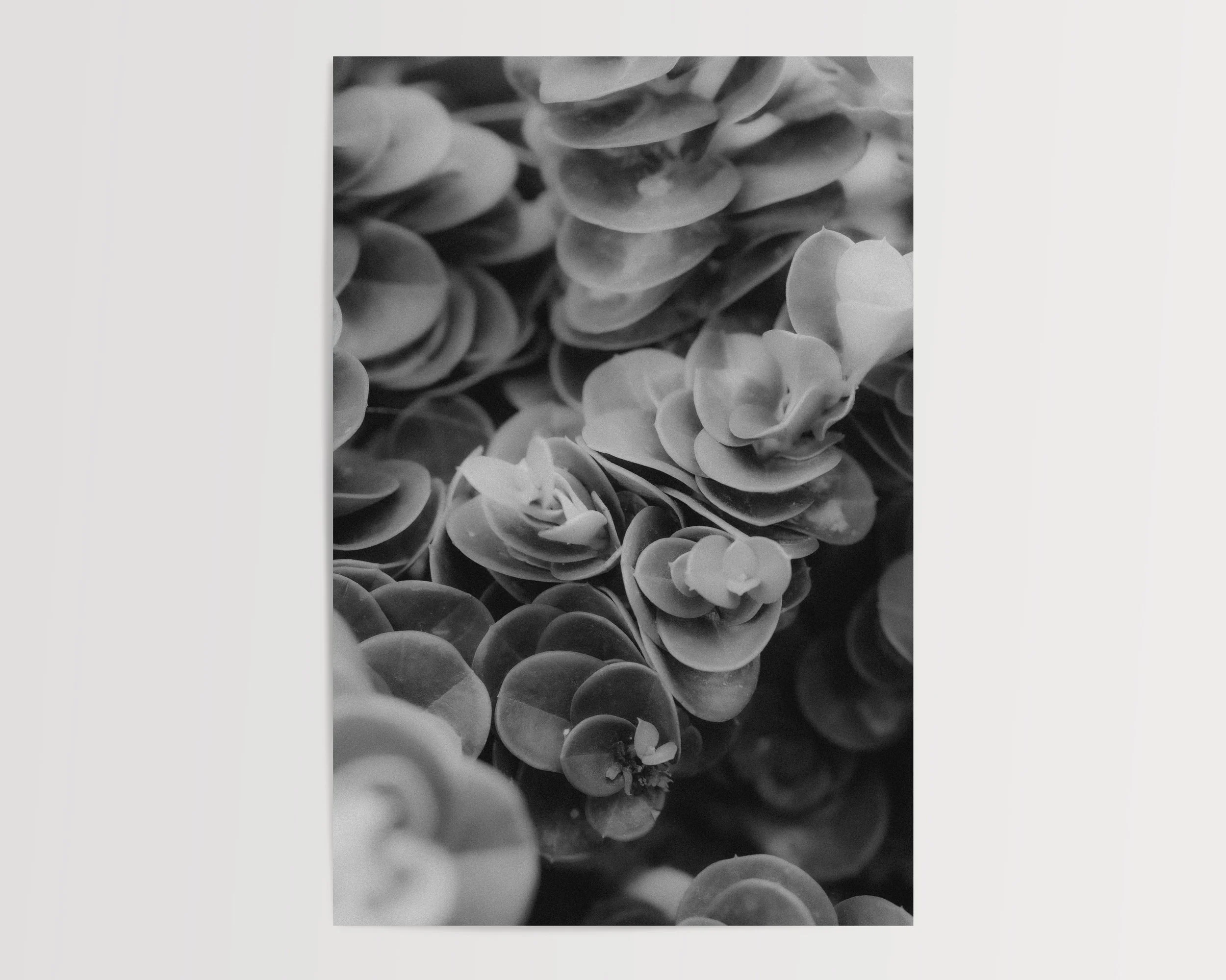 2x3Paper_Vertical_SPIRES.jpg