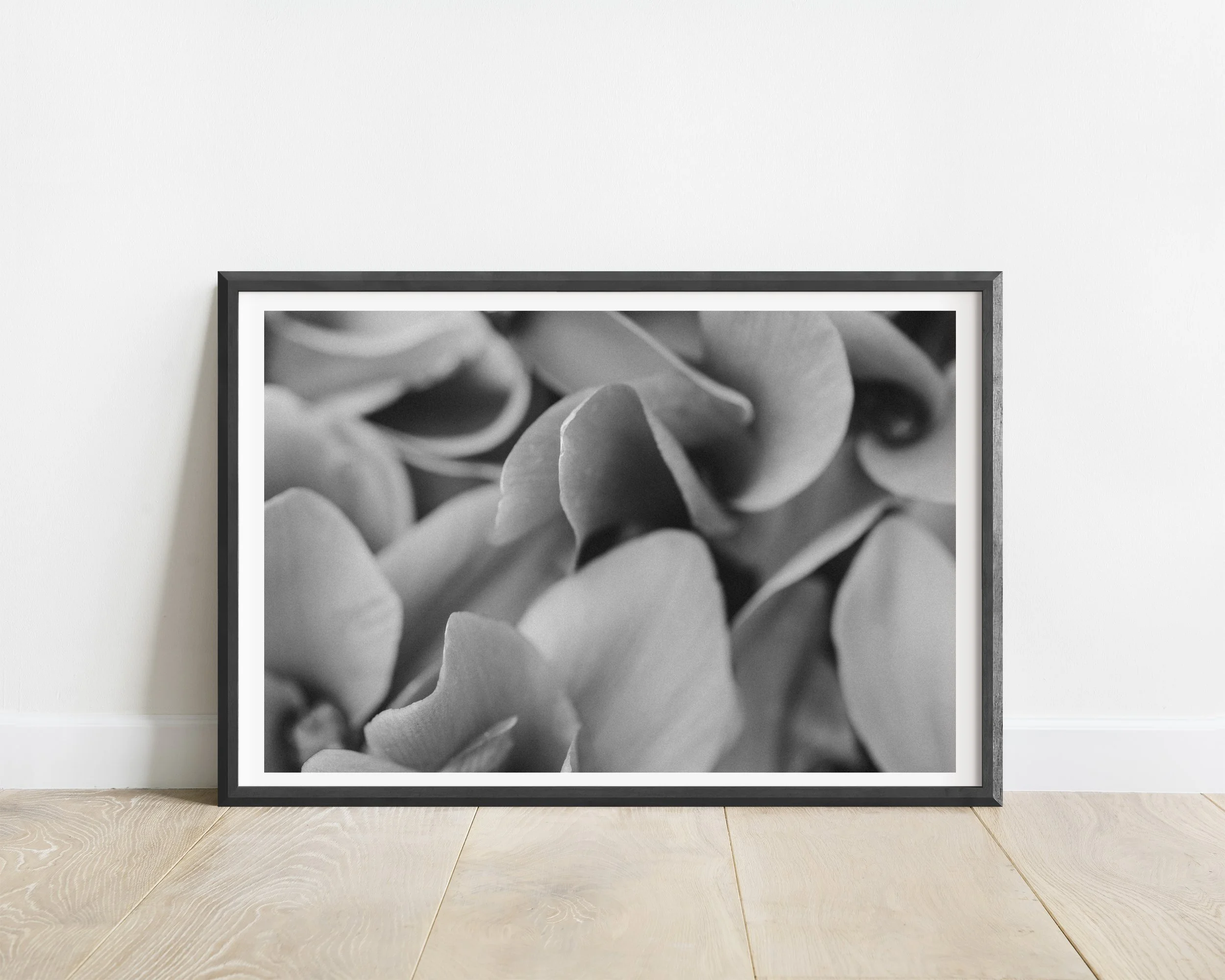 2x3_BlackFrame_Horizontal_BLANKET.jpg