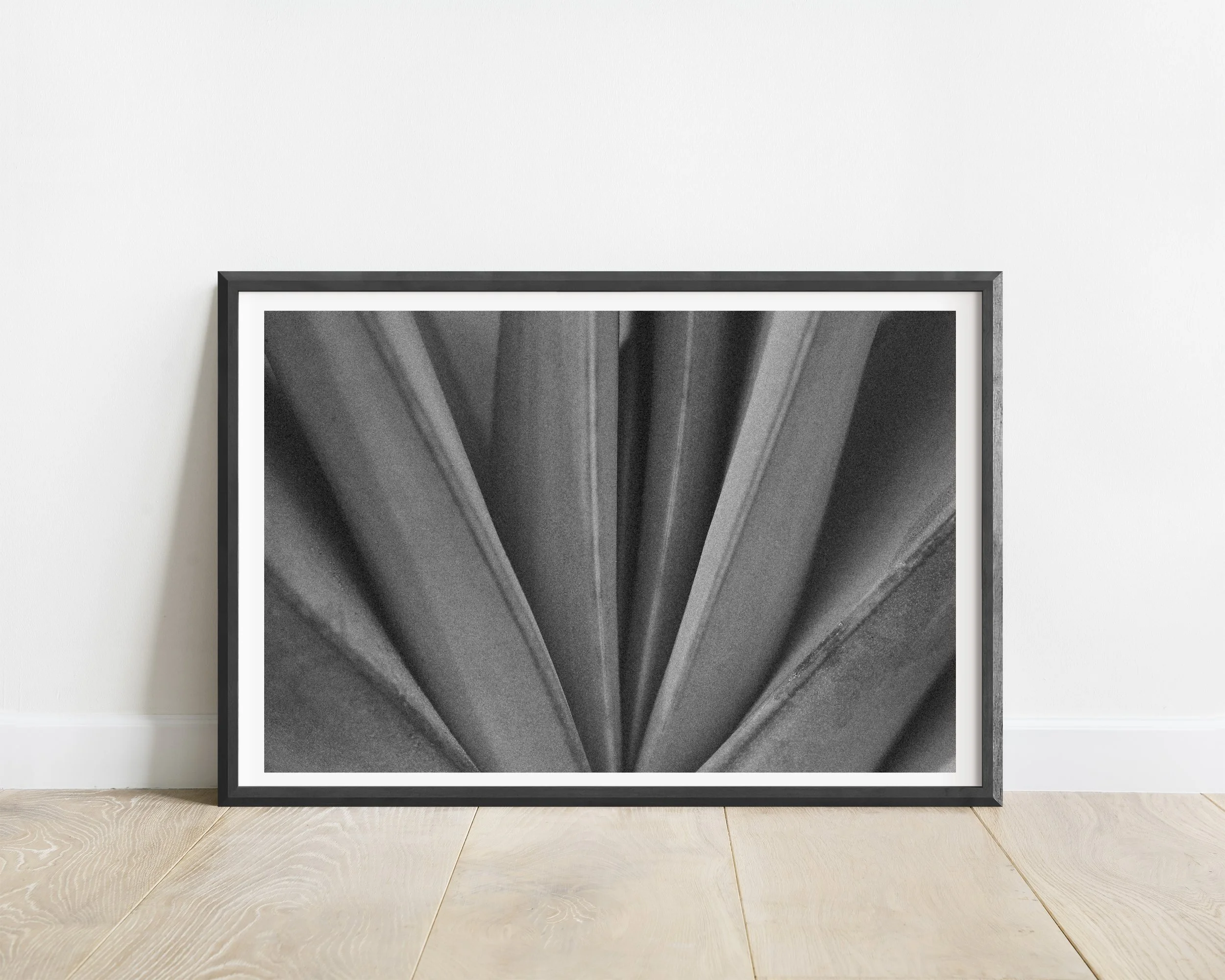 2x3_BlackFrame_Horizontal_RADIATE.jpg