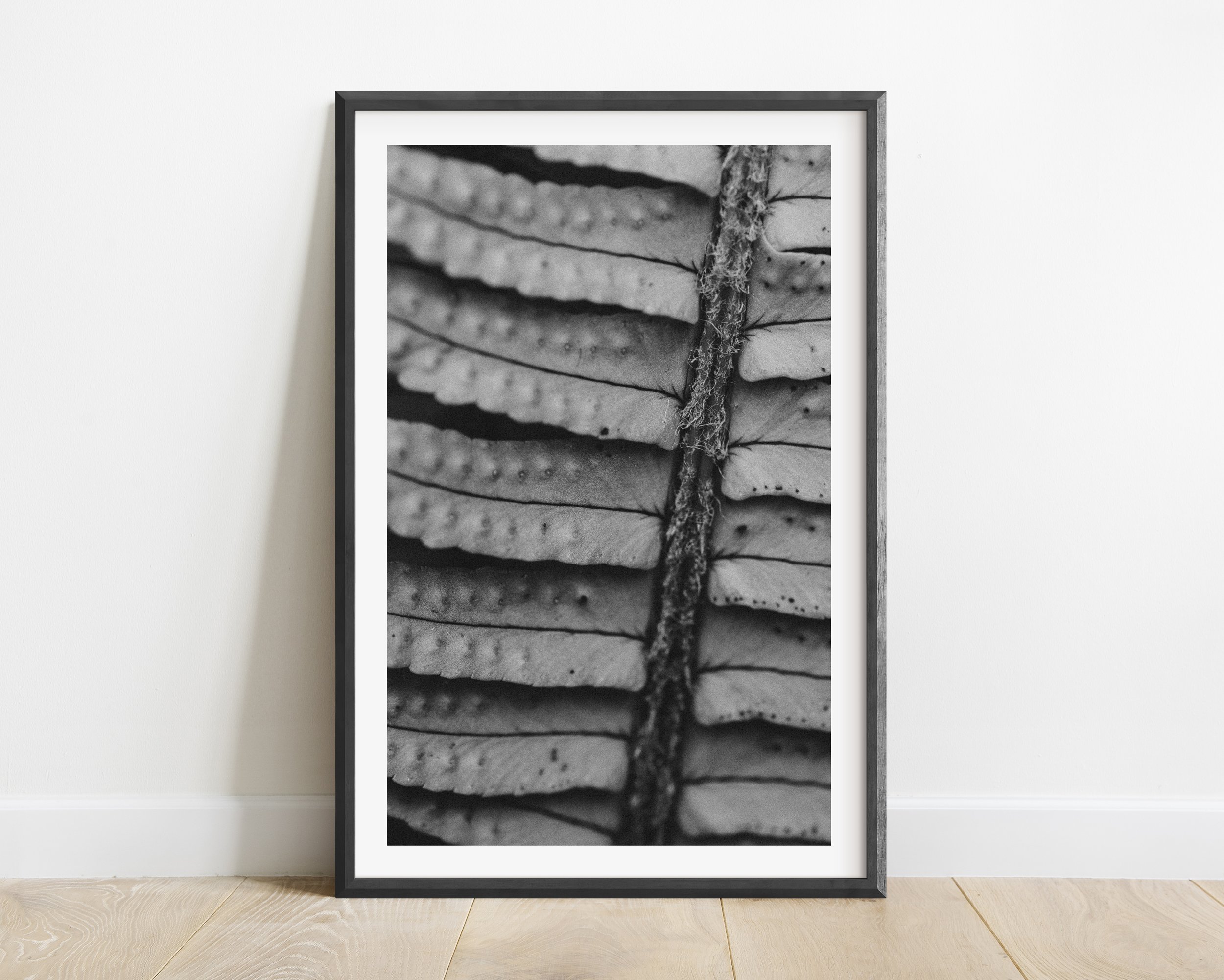 2x3_BlackFrame_Vertical_TEXTURE II.jpg