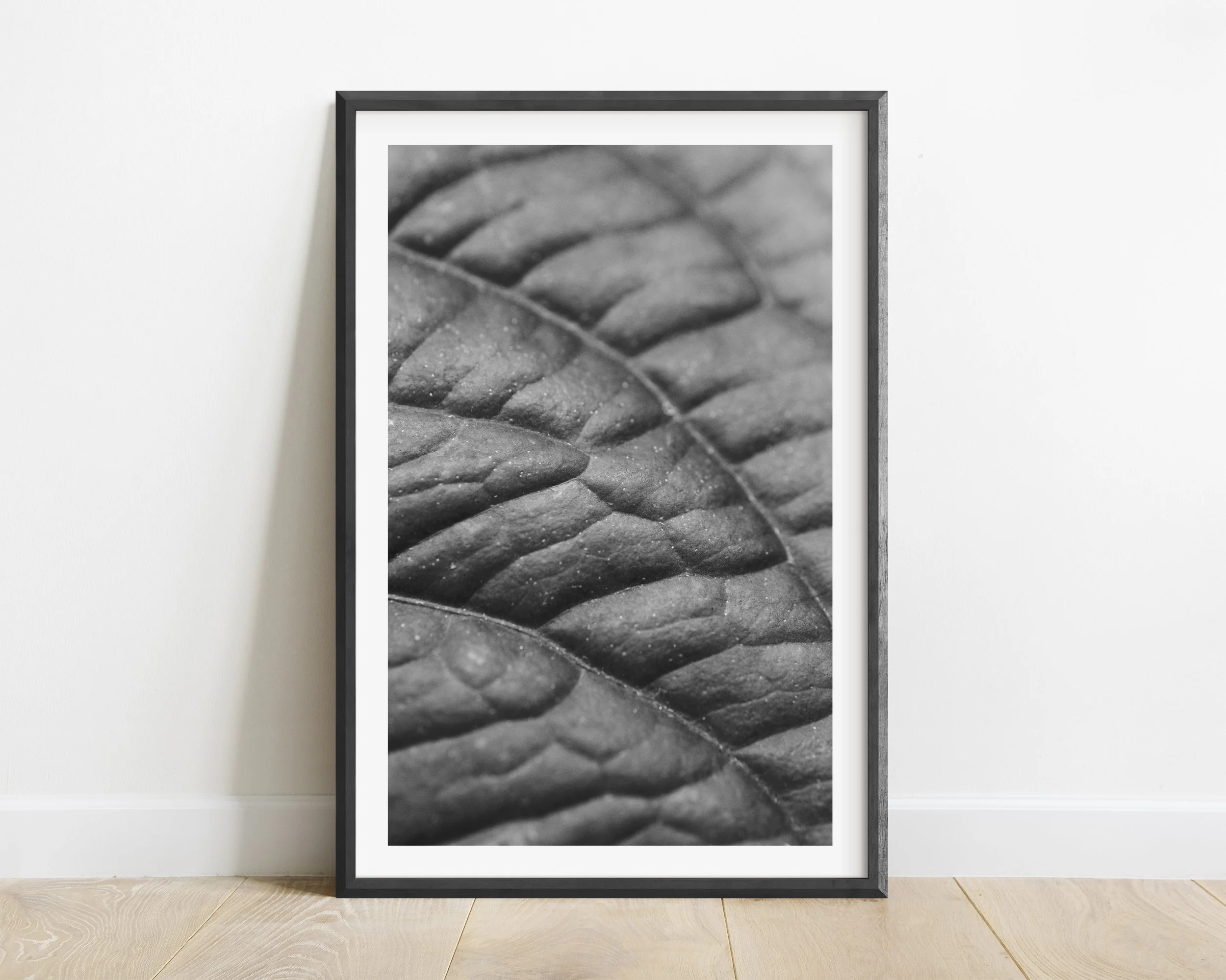 2x3_BlackFrame_Vertical_TEXTUREI.jpg
