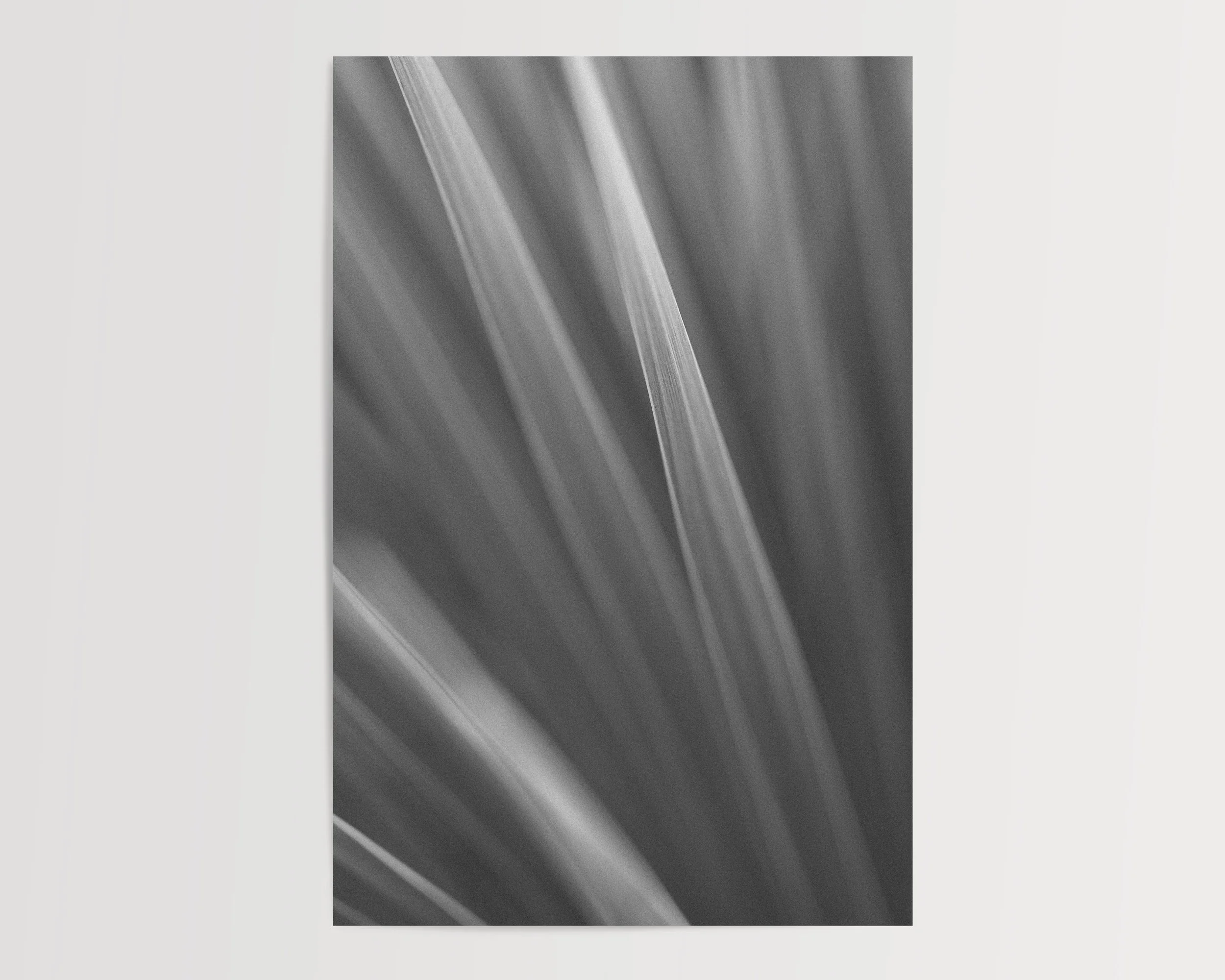 2x3Paper_Vertical_RAYS.jpg