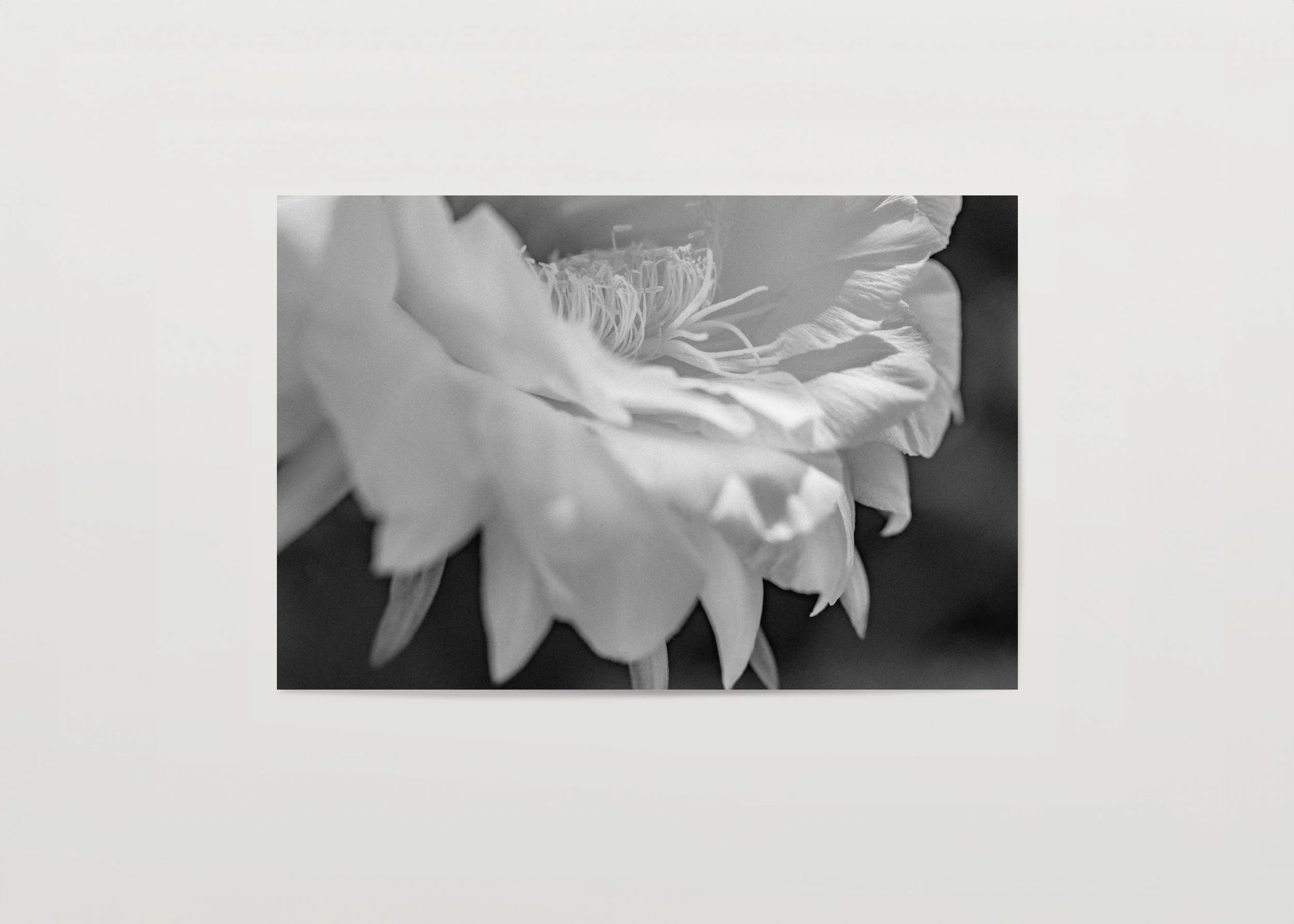2x3Paper_Landscape_ENTER.jpg