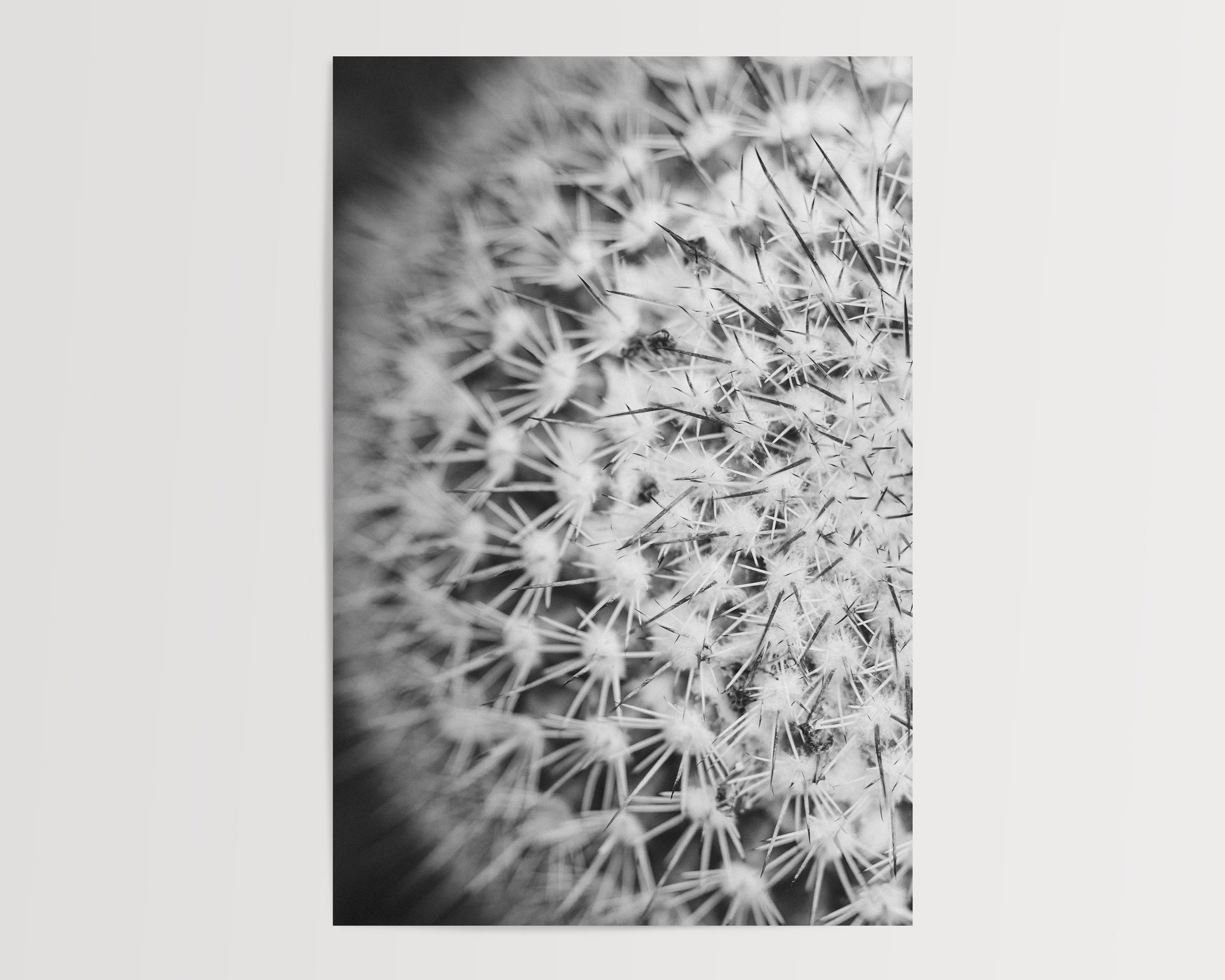 2x3Paper_Vertical_ROUND.jpg