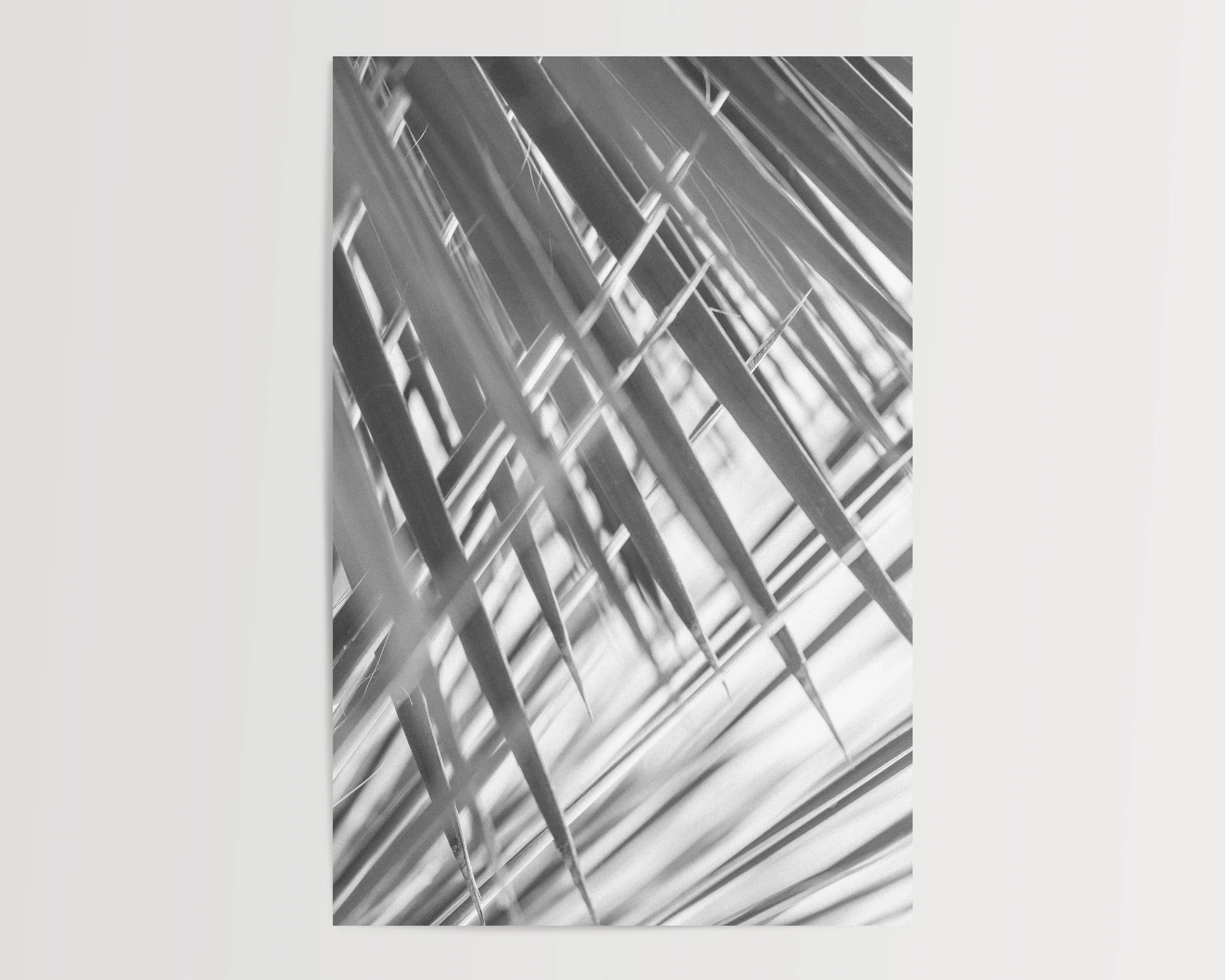 2x3Paper_Vertical_SHARPEN.jpg