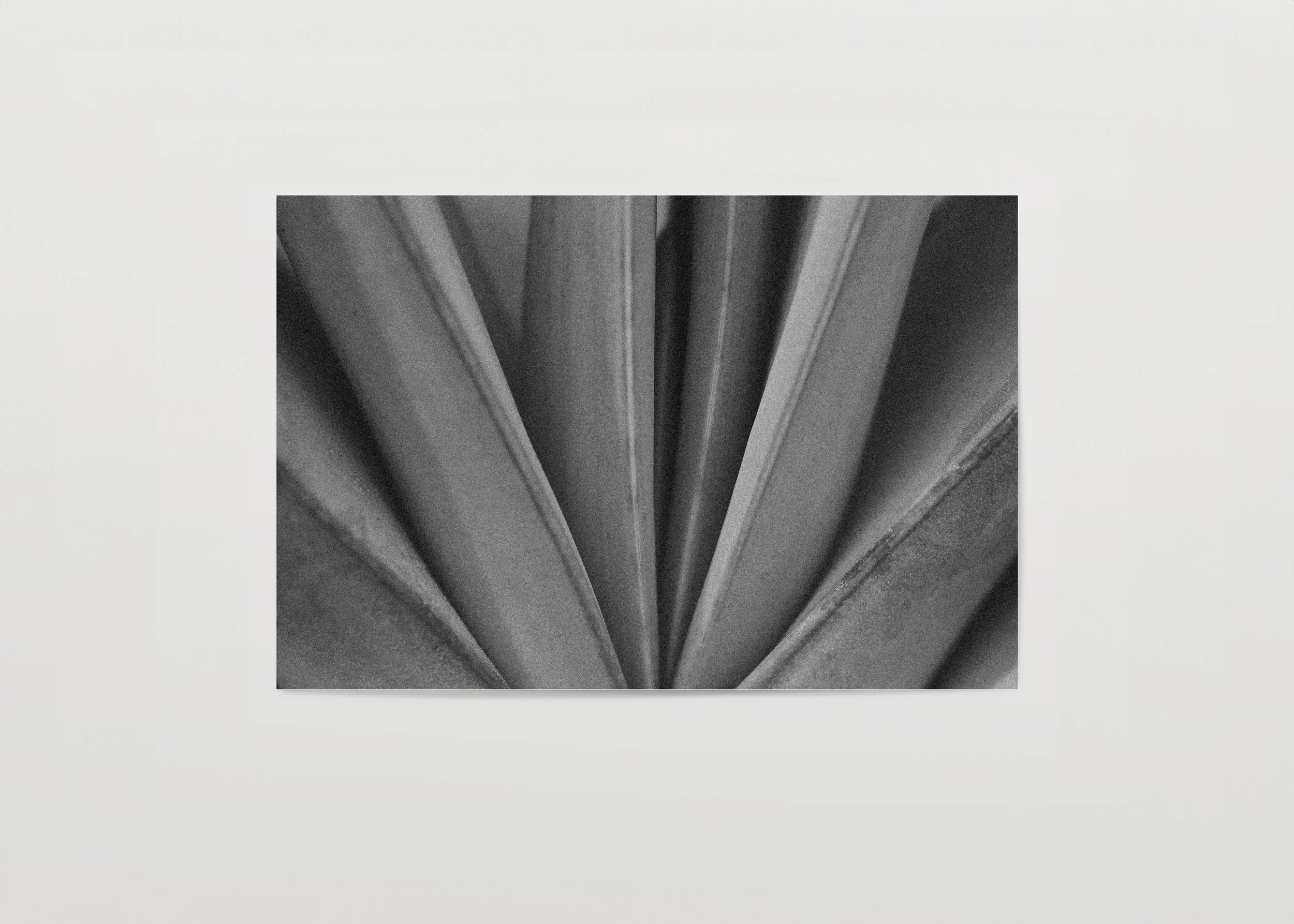 2x3Paper_Landscape_RADIATE.jpg