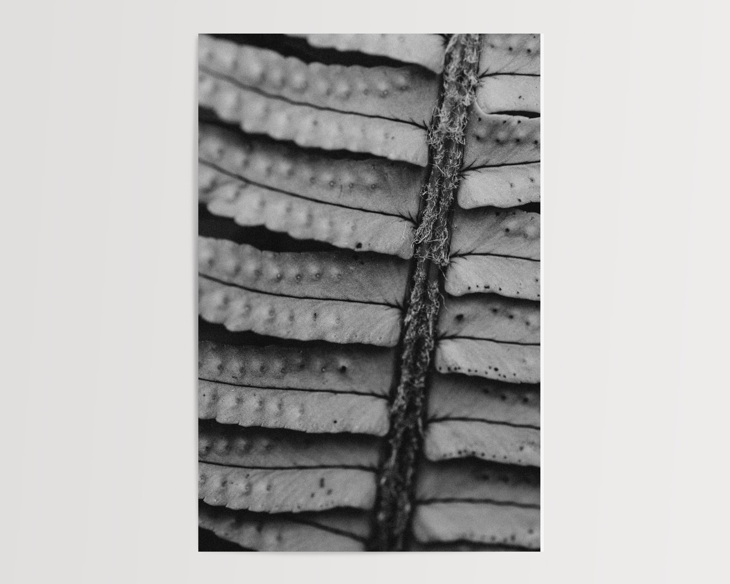 2x3Paper_Vertical_TEXTURE II.jpg
