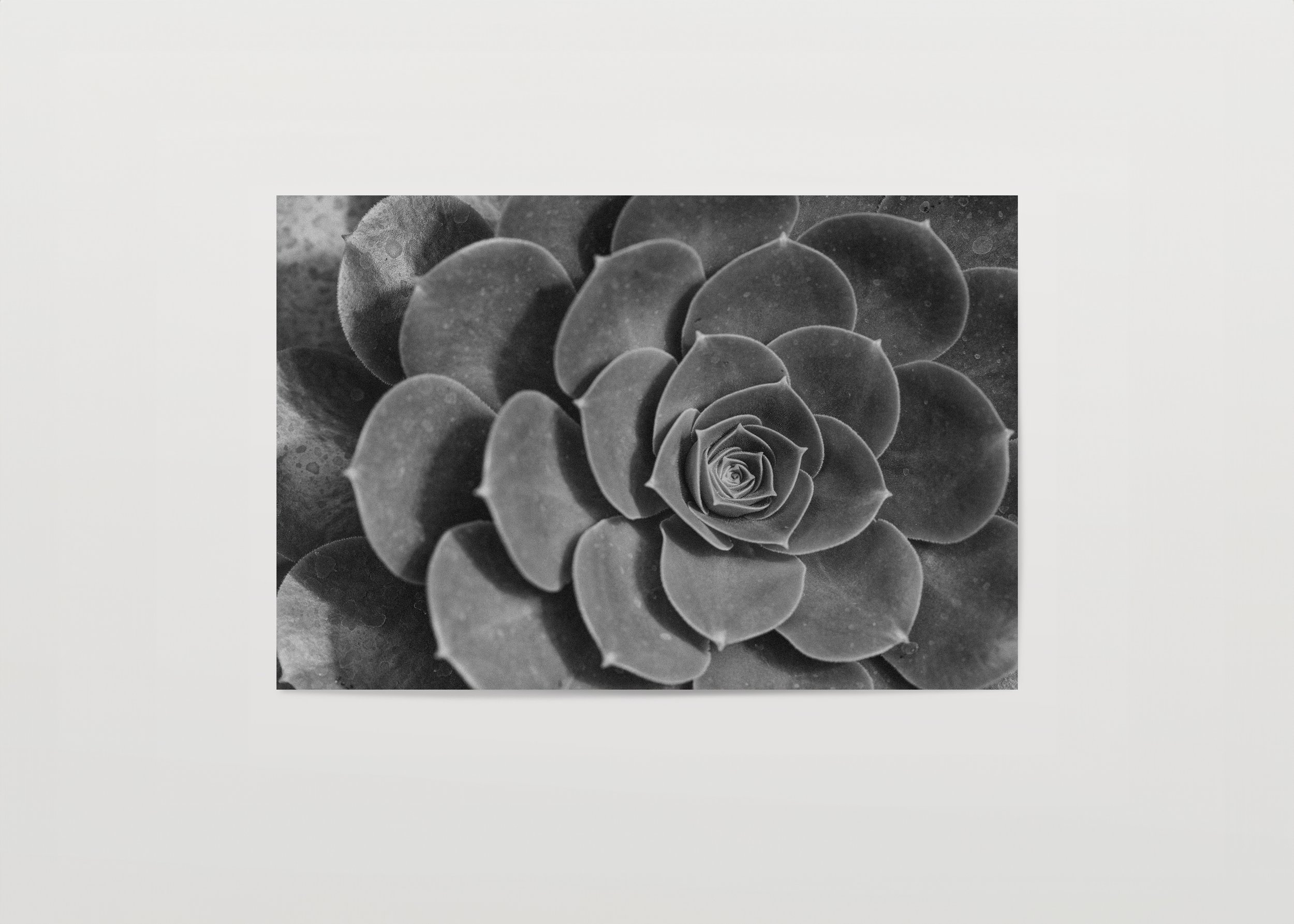 2x3Paper_Landscape humble copy.jpg