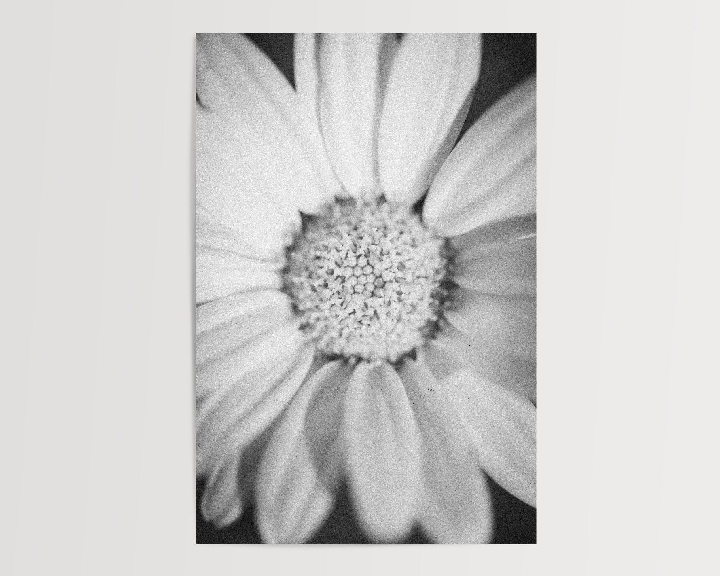2x3Paper_Vertical_POLLEN.jpg
