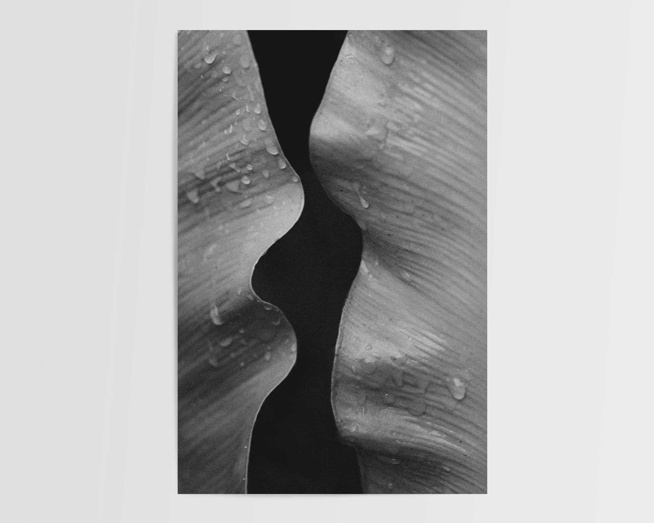 2x3Paper_Vertical_BETWEEN.jpg