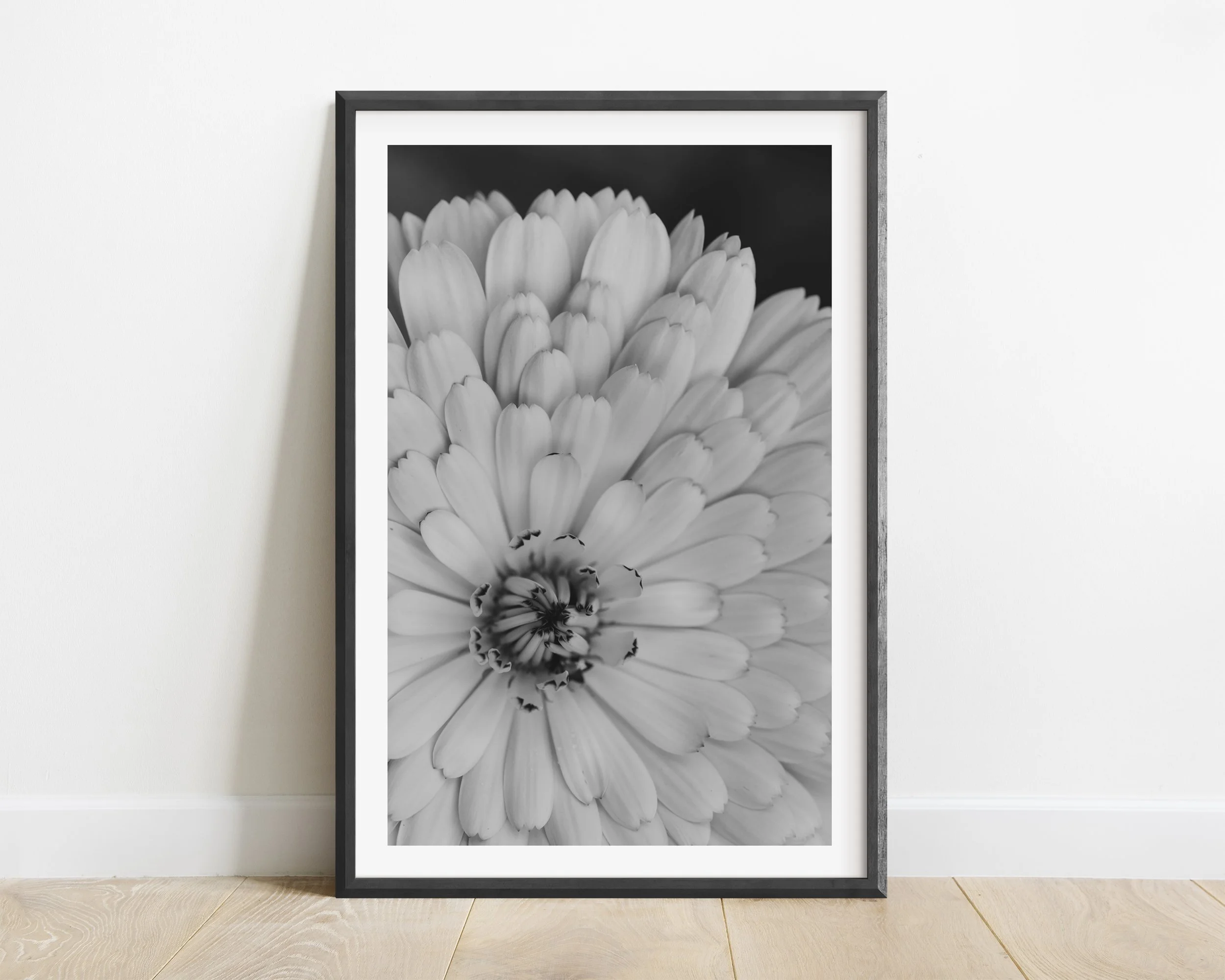 2x3_BlackFrame_Vertical_OPEN.jpg