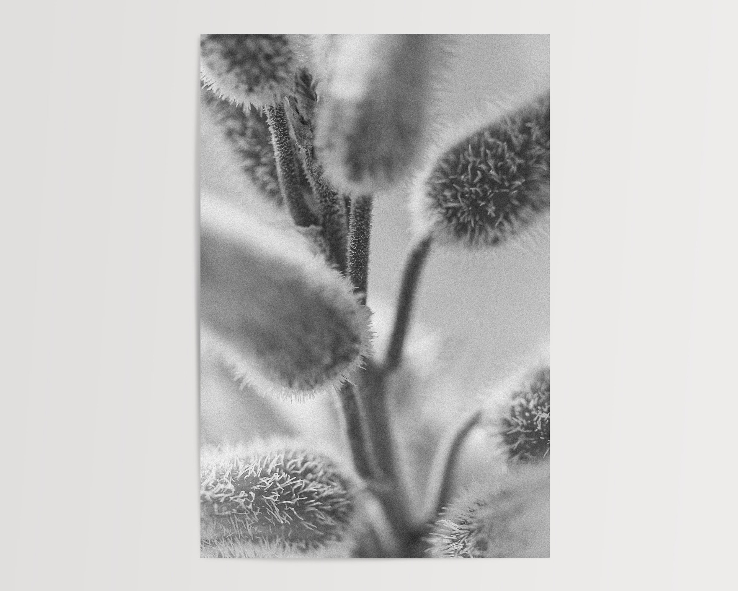 2x3Paper_Vertical_FUZZY.jpg