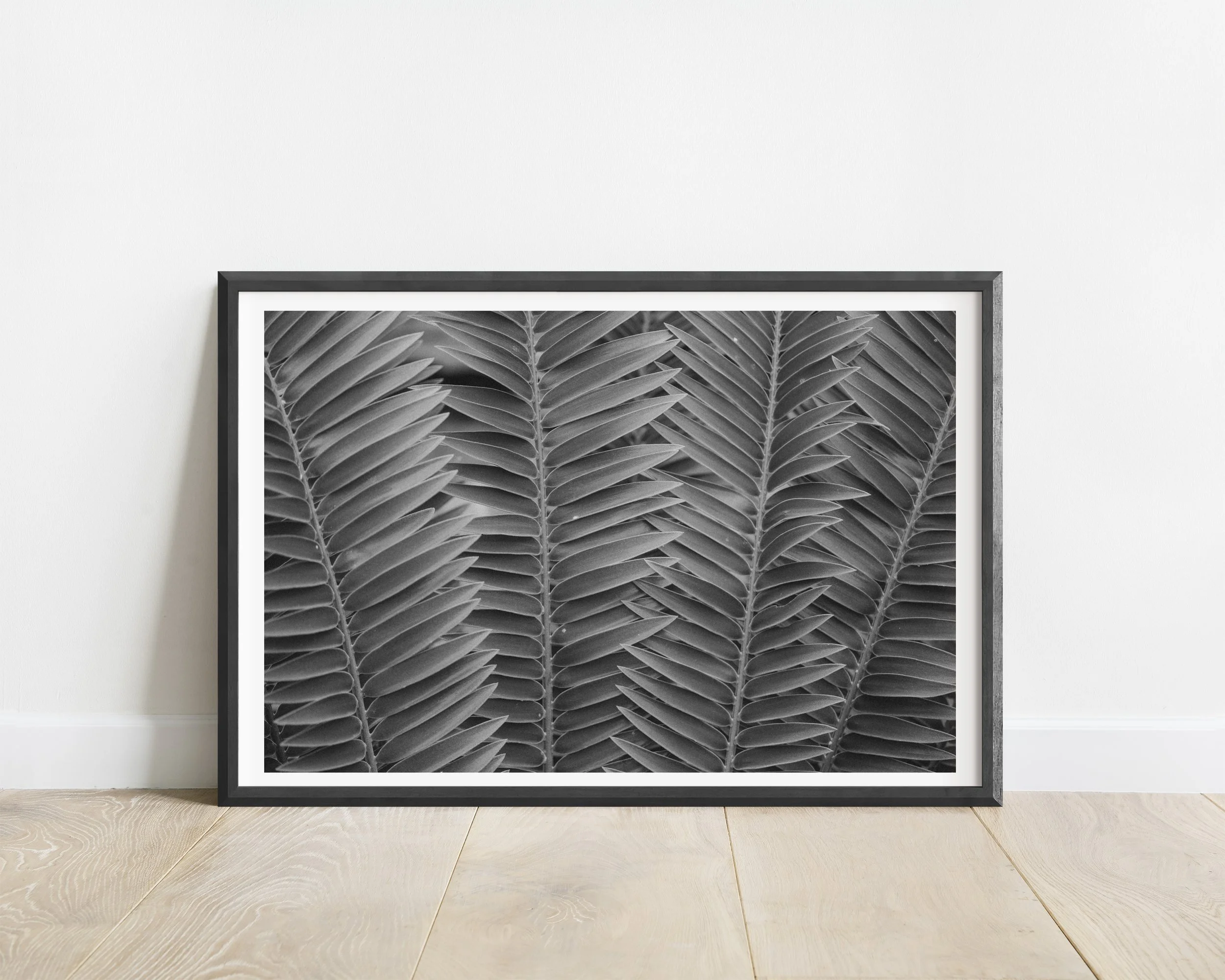 2x3_BlackFrame_Horizontal_THATCHED.jpg