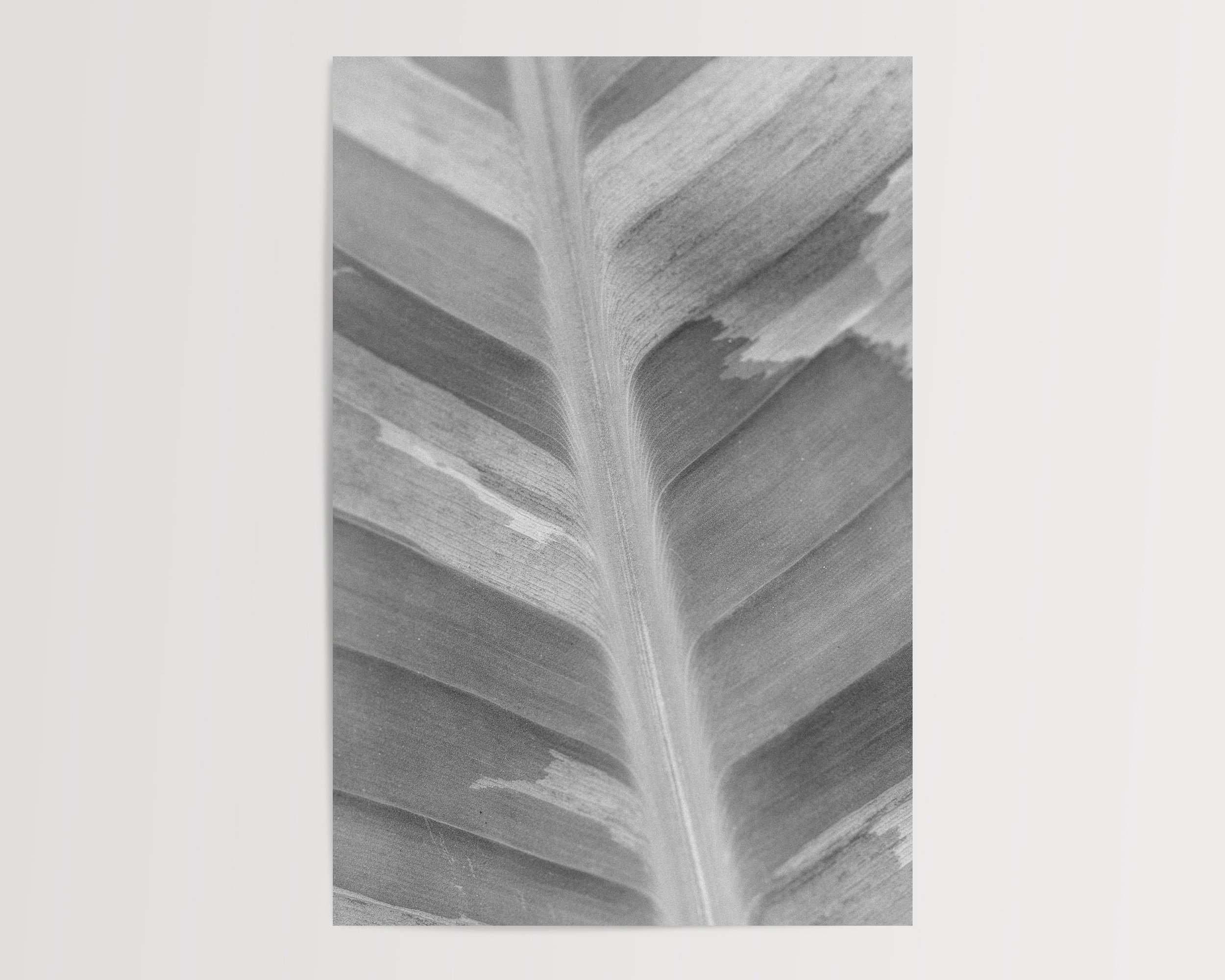 2x3Paper_Vertical_brushstroke.jpg