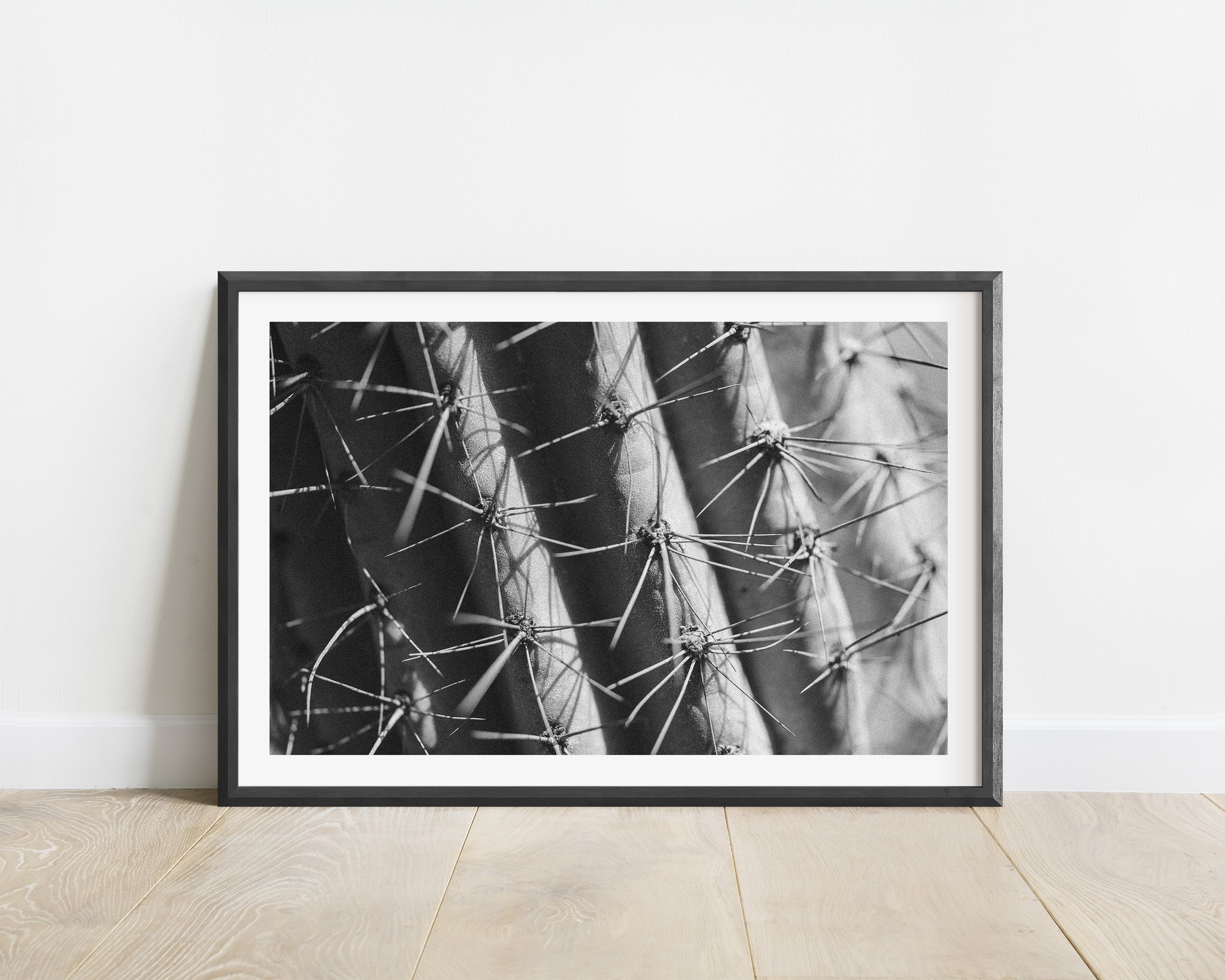 2x3_BlackFrame_Horizontal_COLUMN.jpg