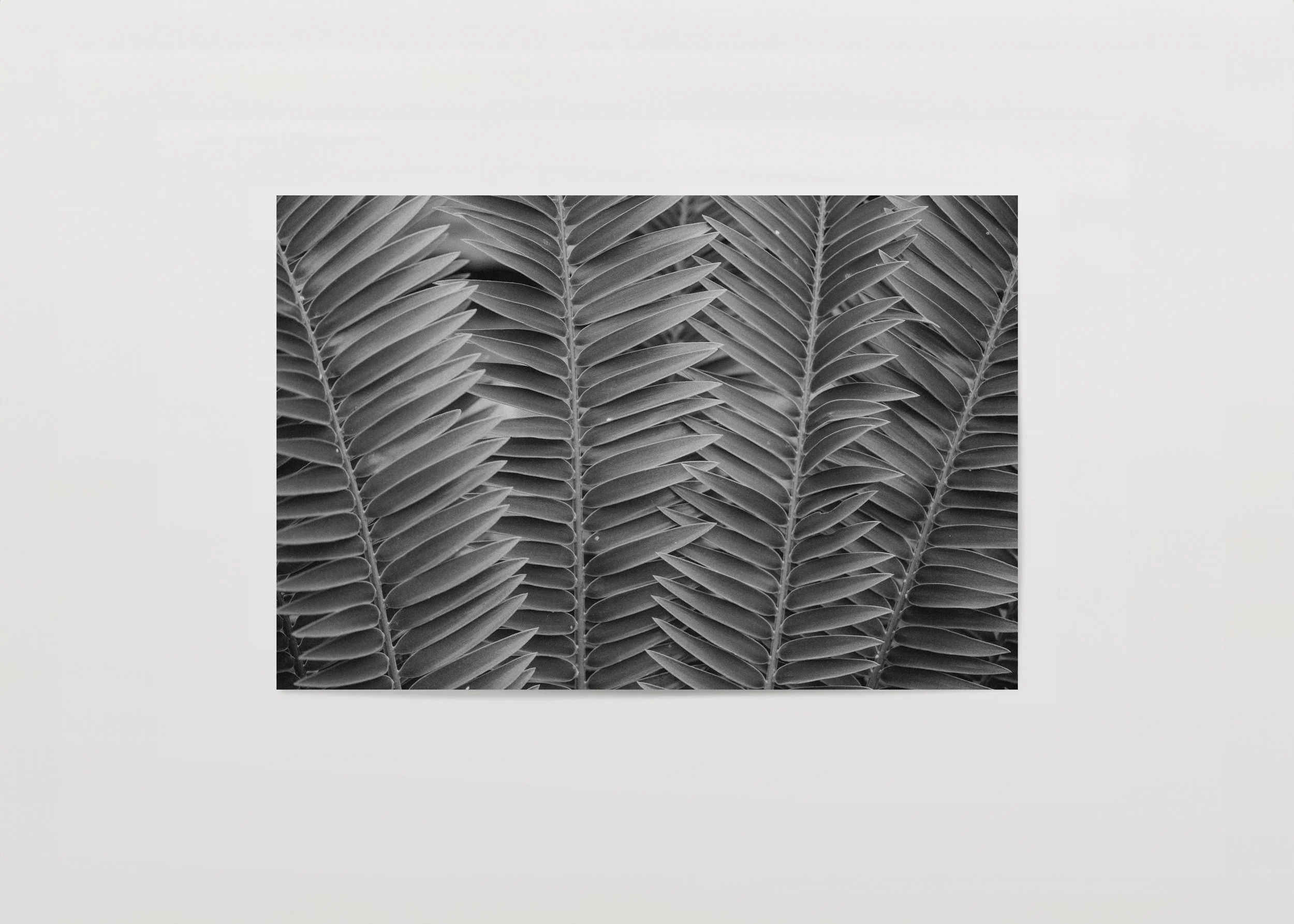 2x3Paper_Landscape_THATCHED.jpg