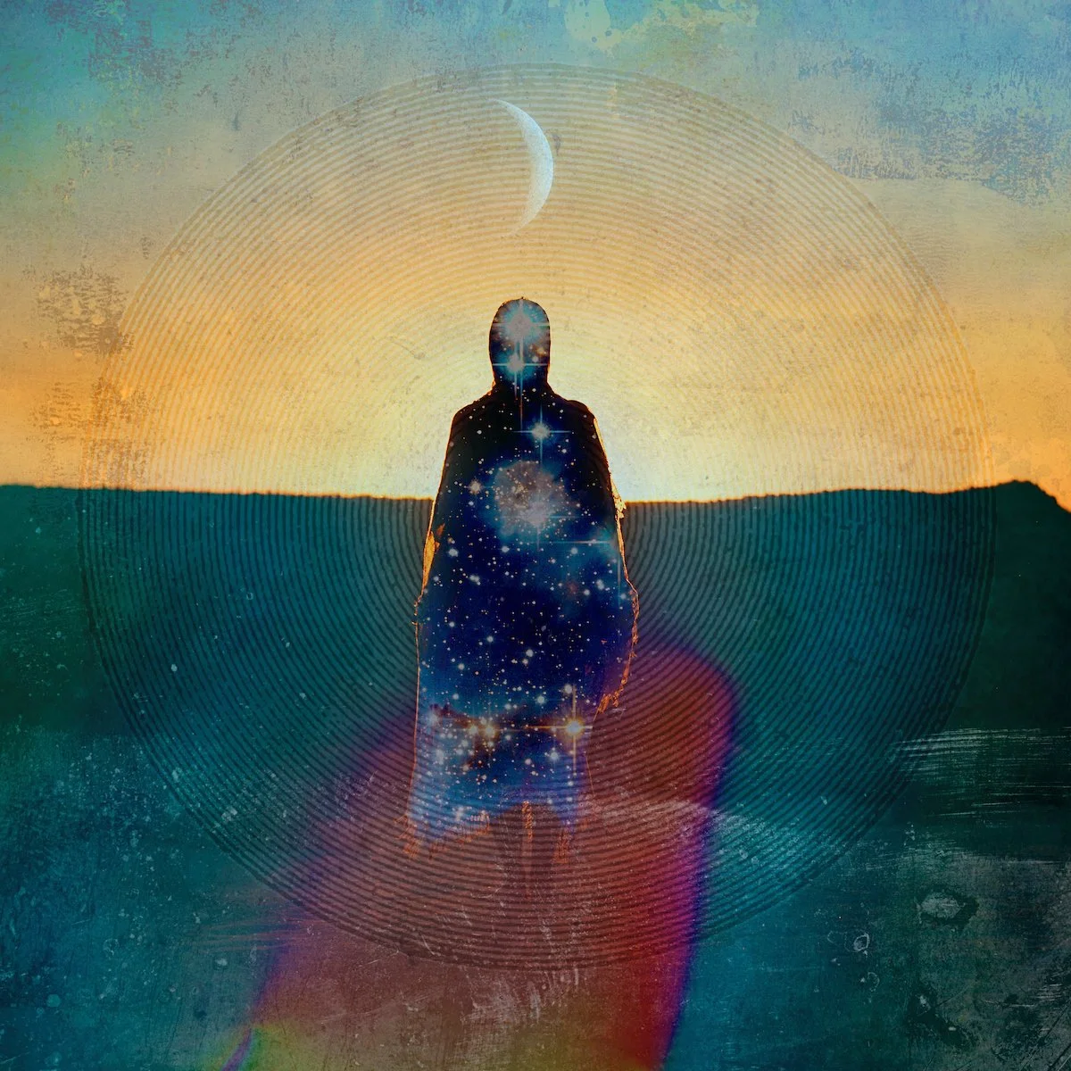 THE WILD WITHIN