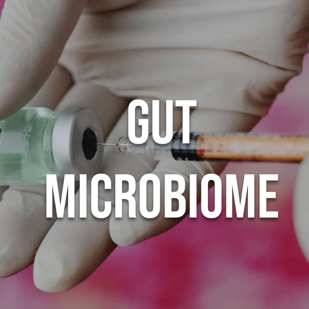 gut microbiome pic.jpg