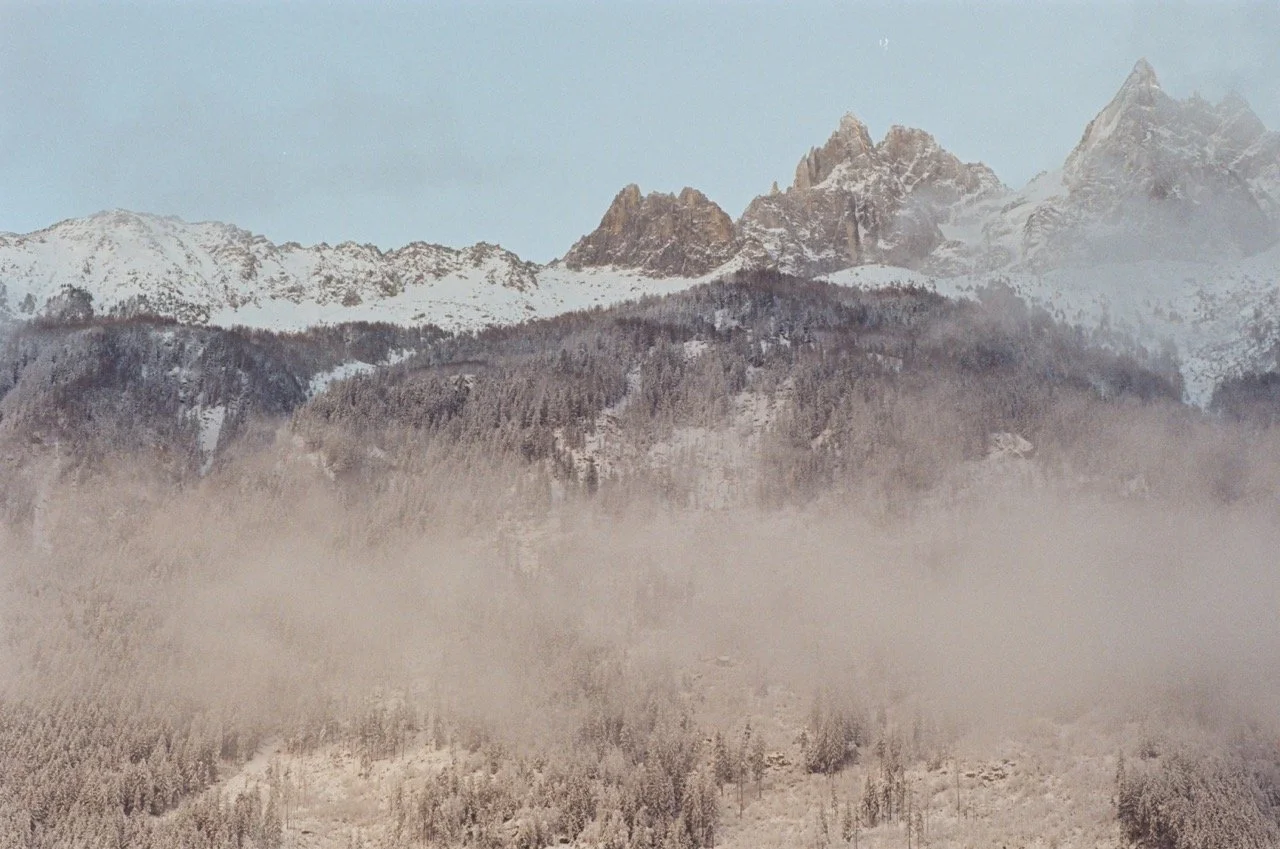 000096650013 Large.jpeg