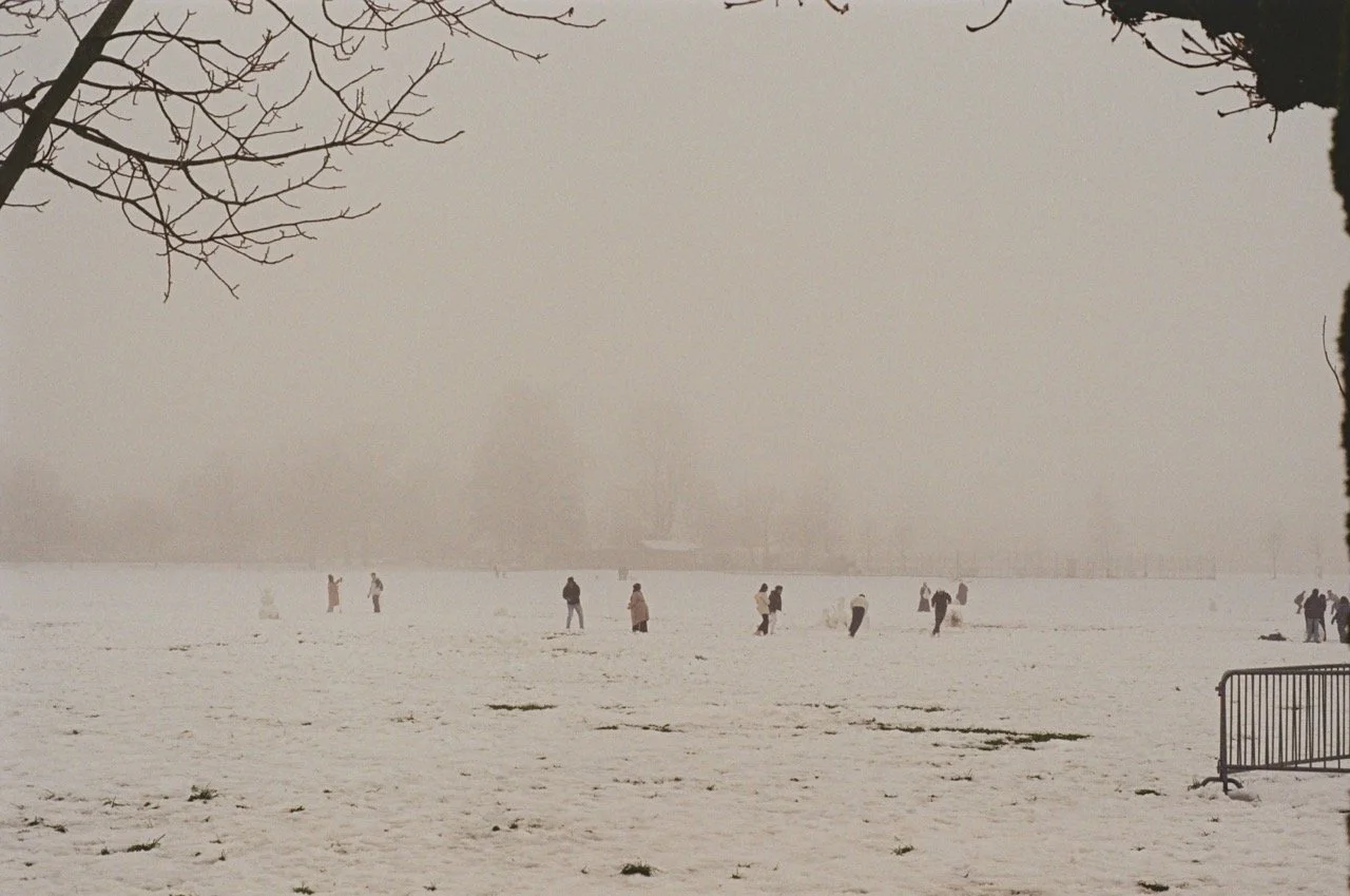 000096650014 Large.jpeg