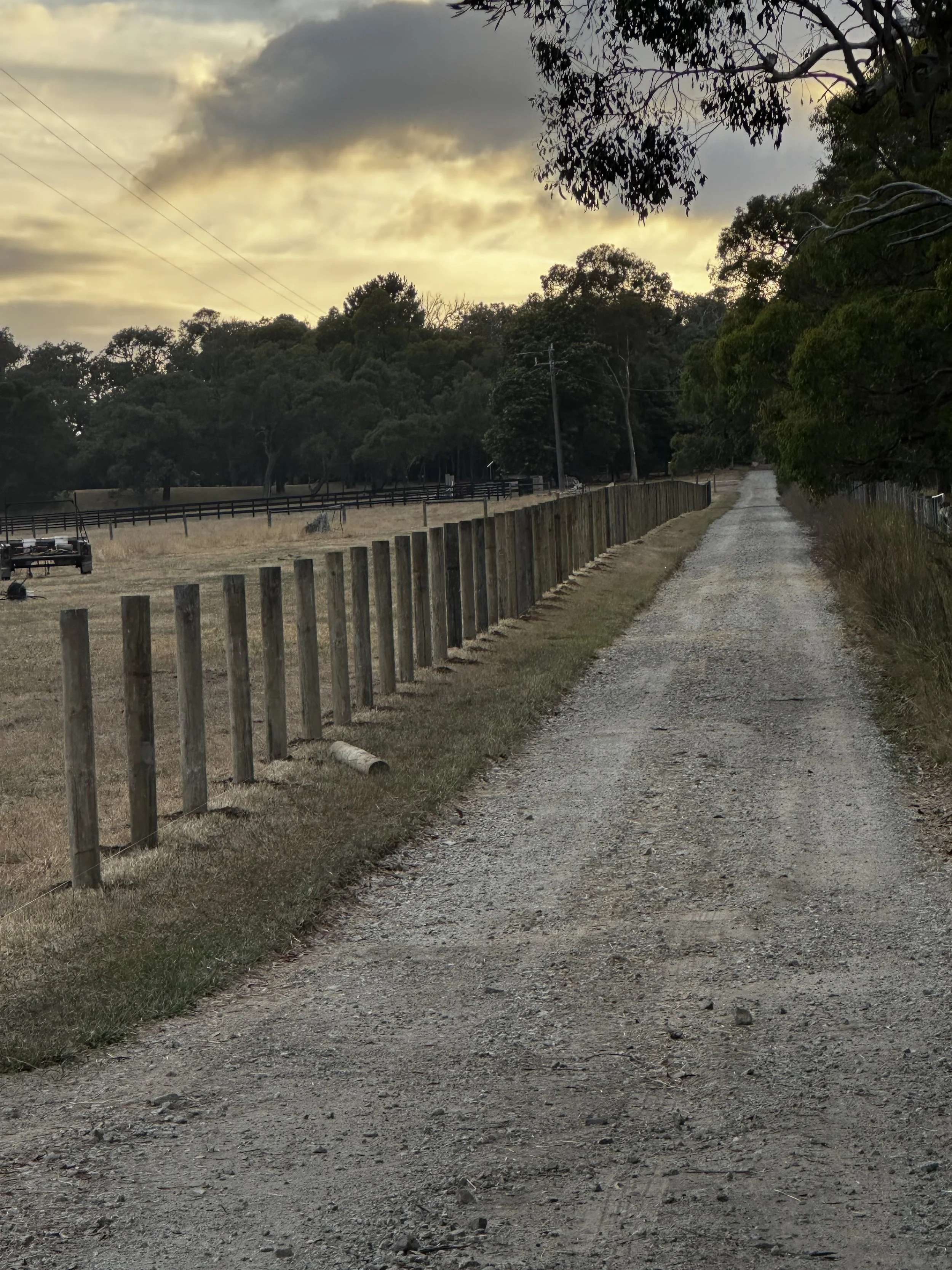 Photo 25-1-2025, 6 56 11 am.JPG