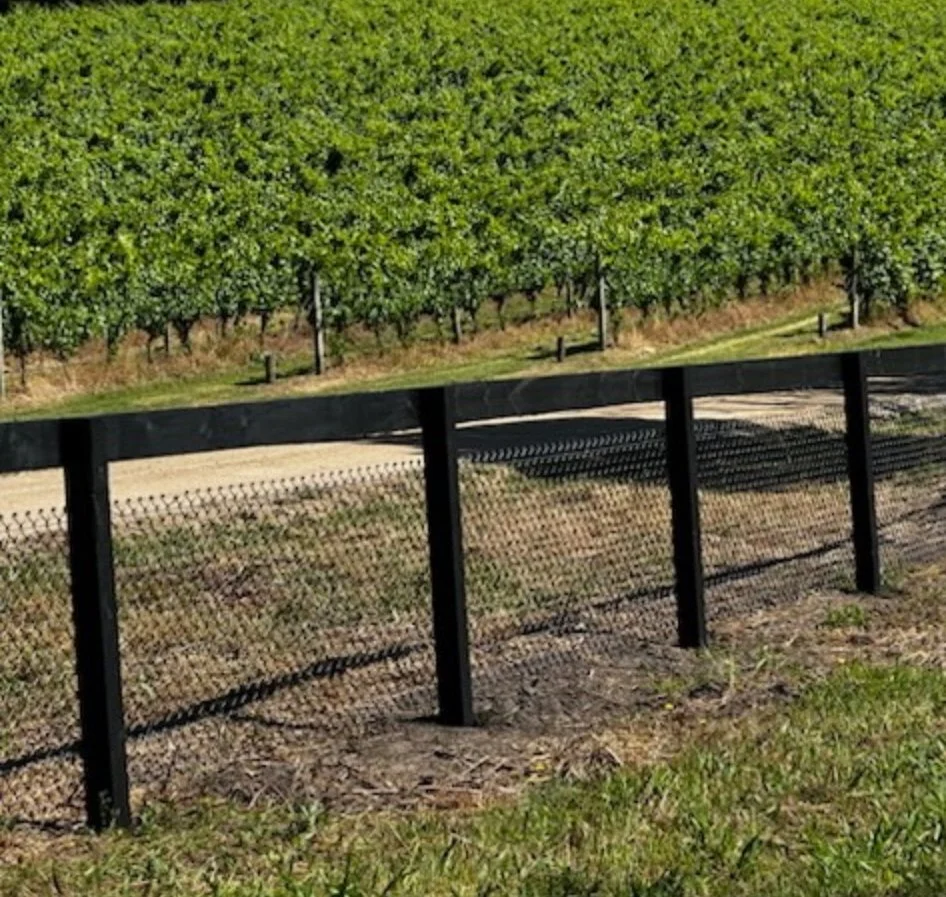 Screenshot 2025-02-27 at 8.57.46 pm.jpeg