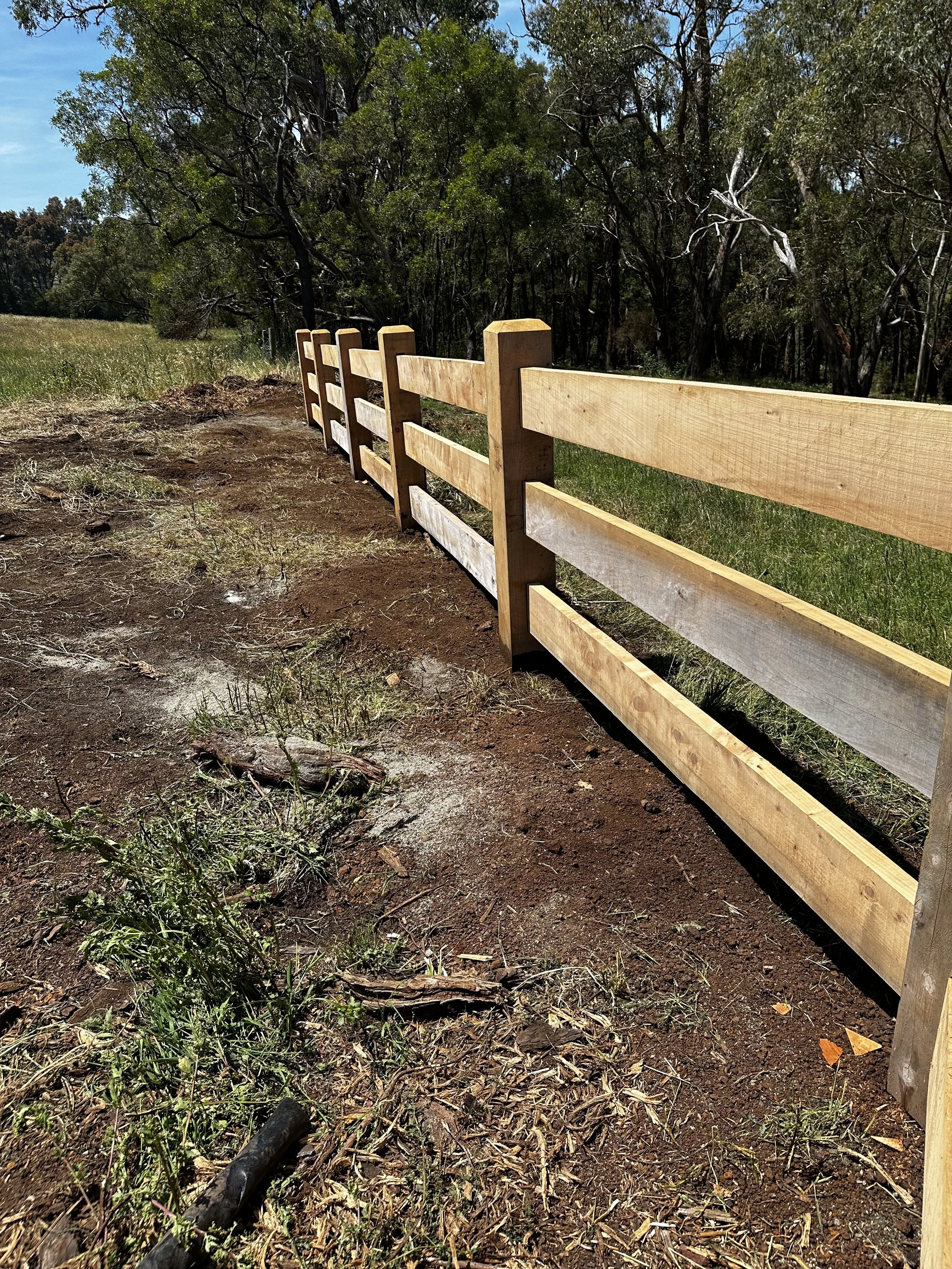 Photo 21-11-2024, 1 54 45 pm.JPG