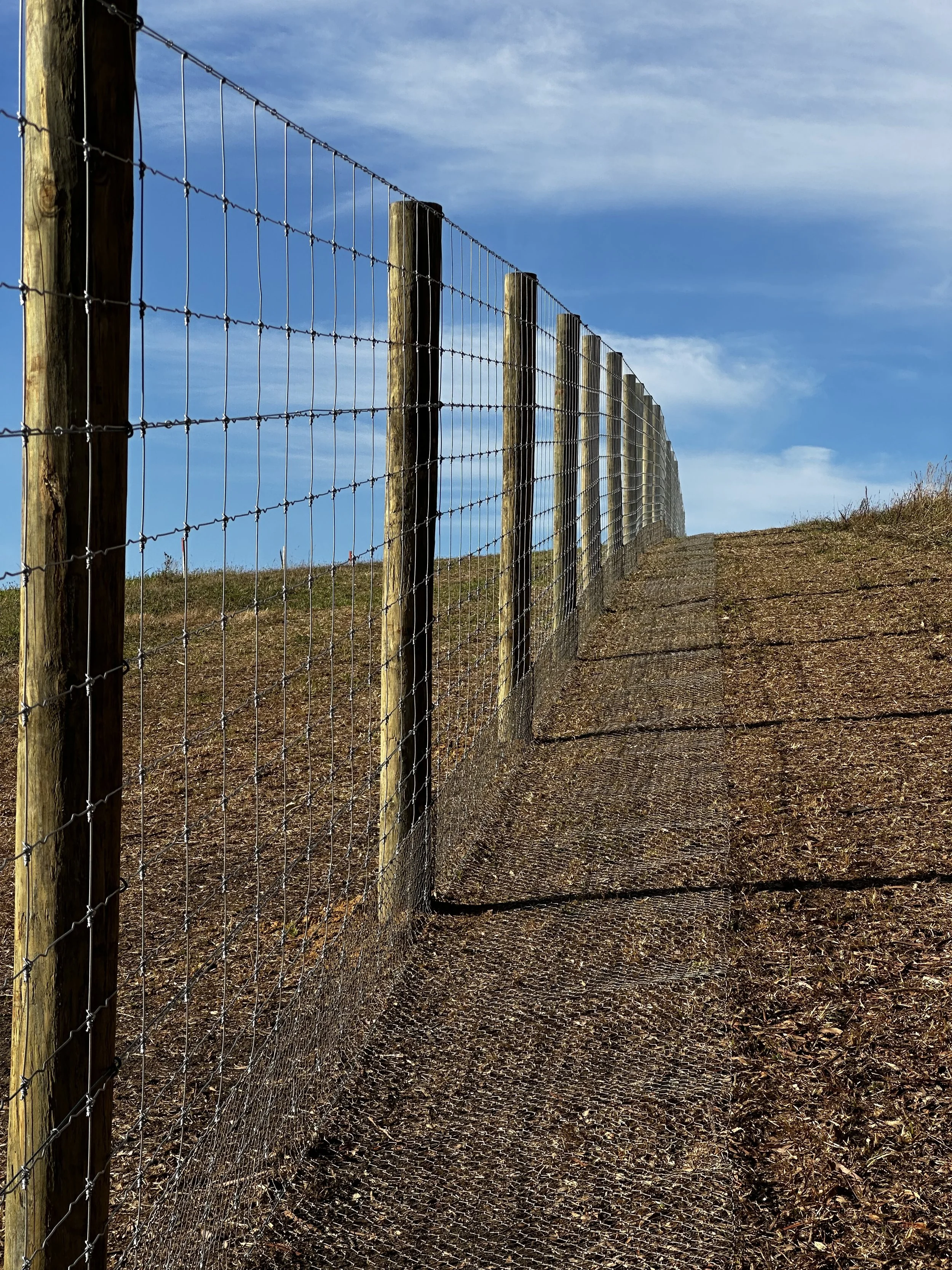 Photo 21-2-2025, 9 06 42 am.JPG