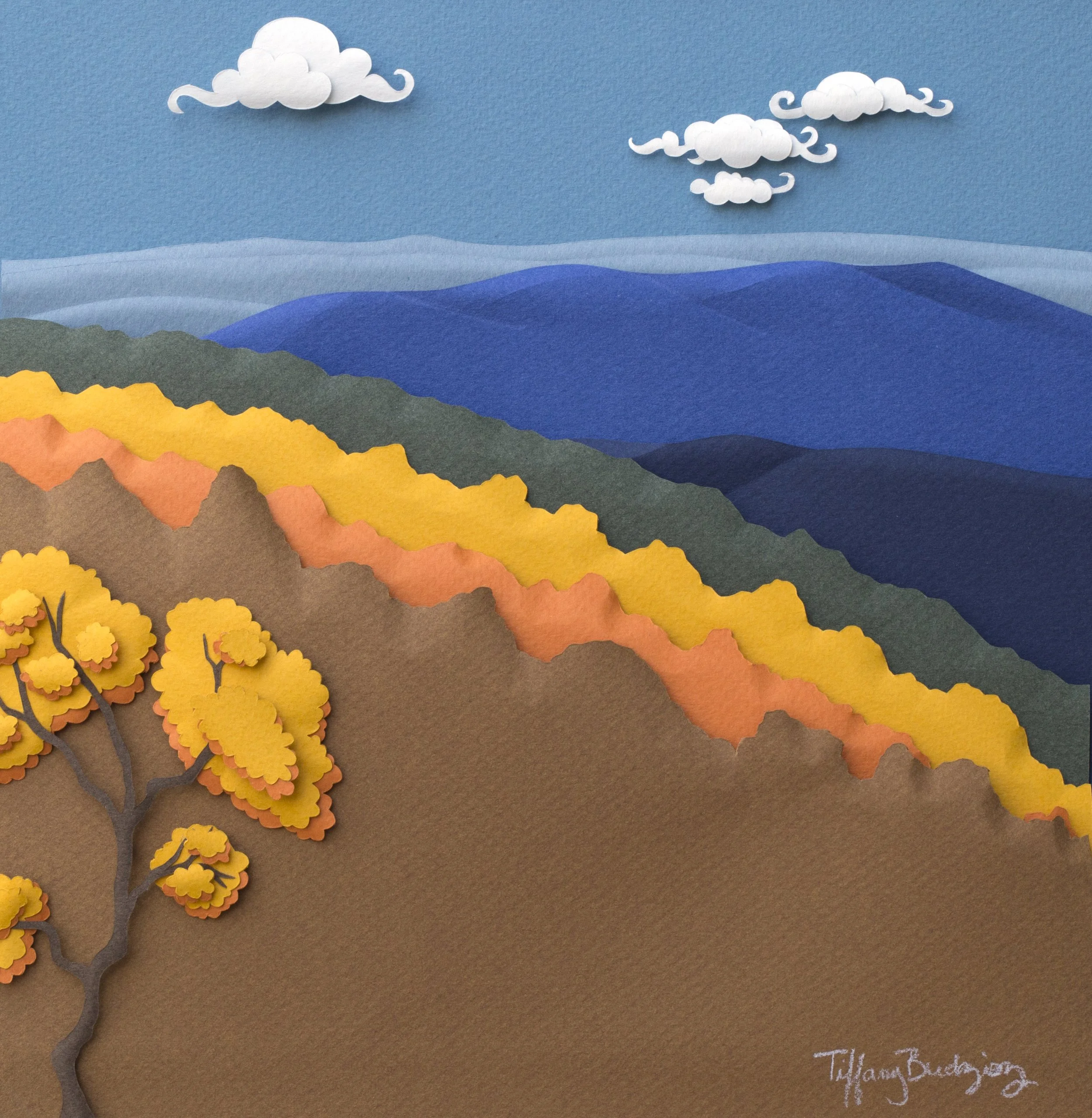 Autumn Layers, Skyline Drive, 2018
