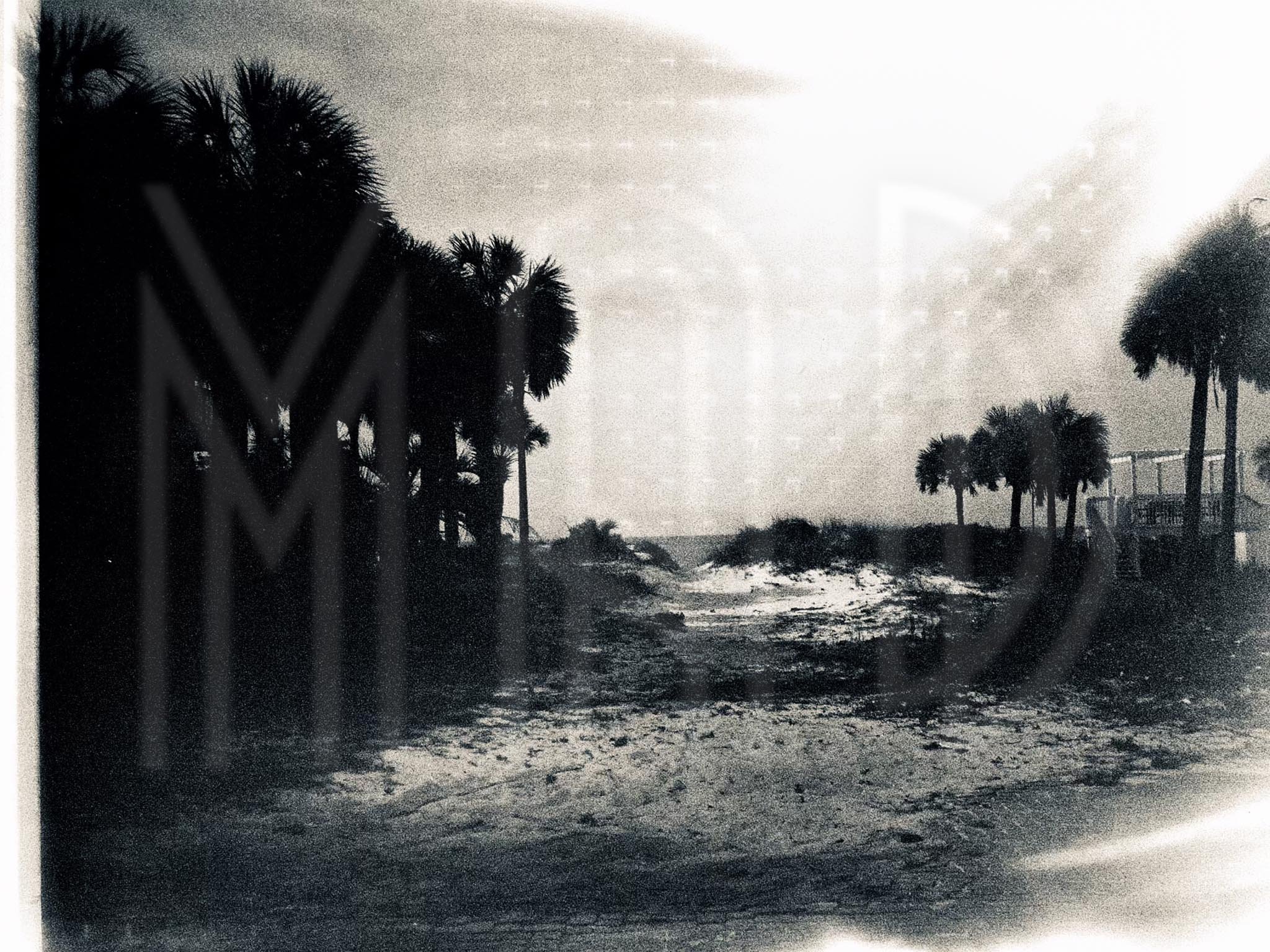 Destin Beach, FL - For the love of  Coheed & Cambria
