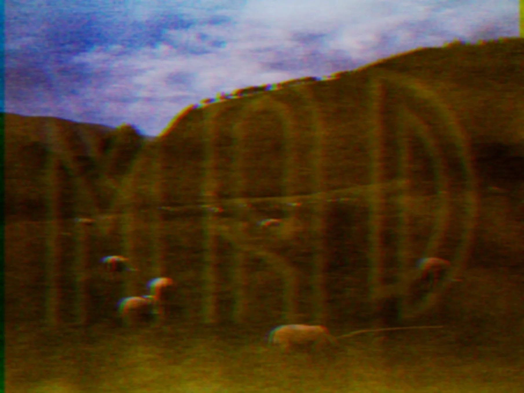 0A6352D4-D762-4720-A60F-BAD4CFAFB67E.jpeg