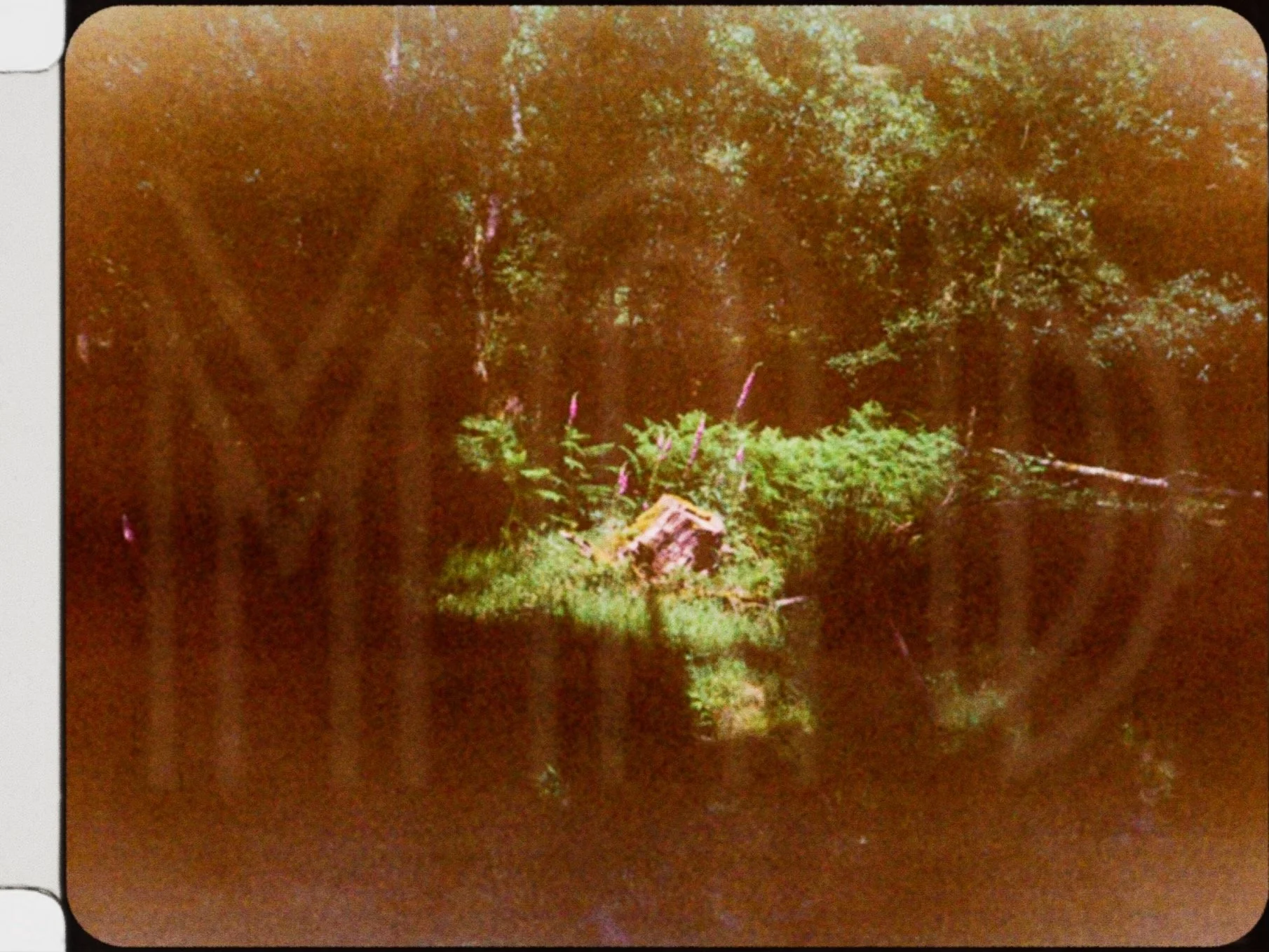 4D28DD1F-43F1-4608-B708-6725E89FB490.jpeg