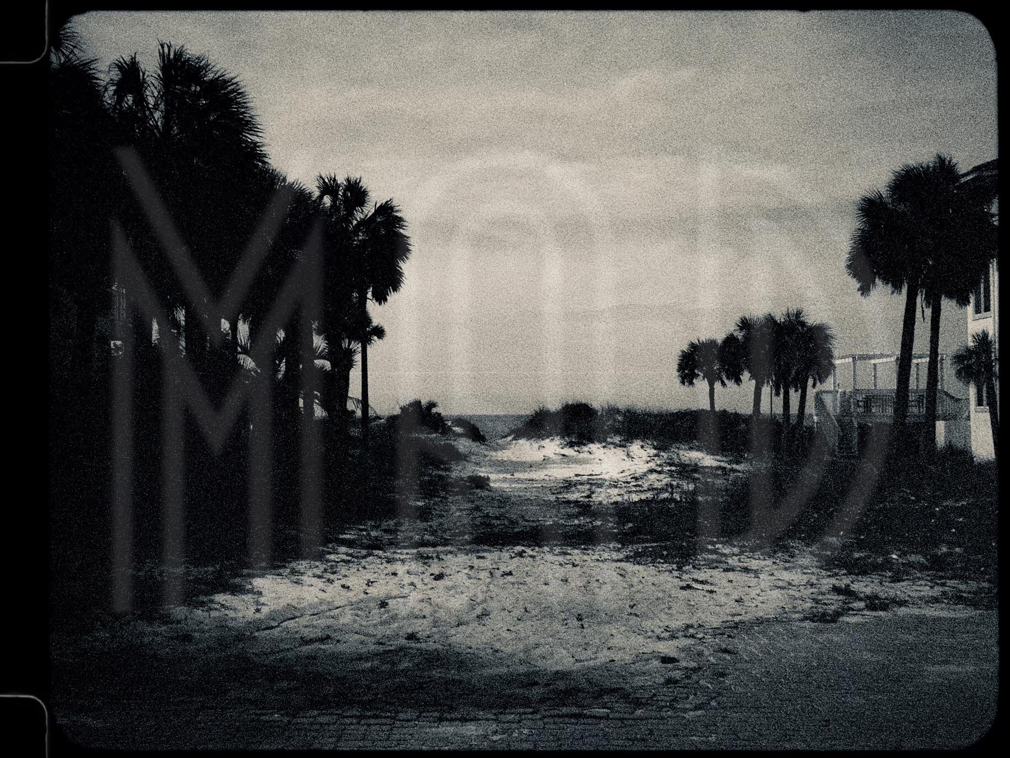 Destin Beach, FL - For the love of  Coheed & Cambria