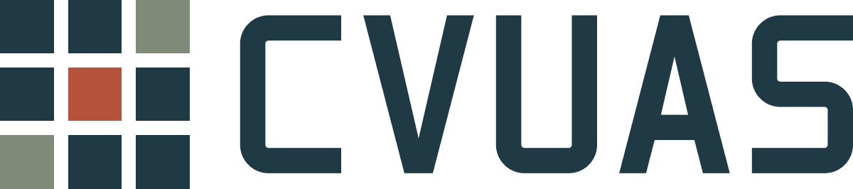 CVUAS | Industrial Drone Mapping, Volumes and Thermal Inspection
