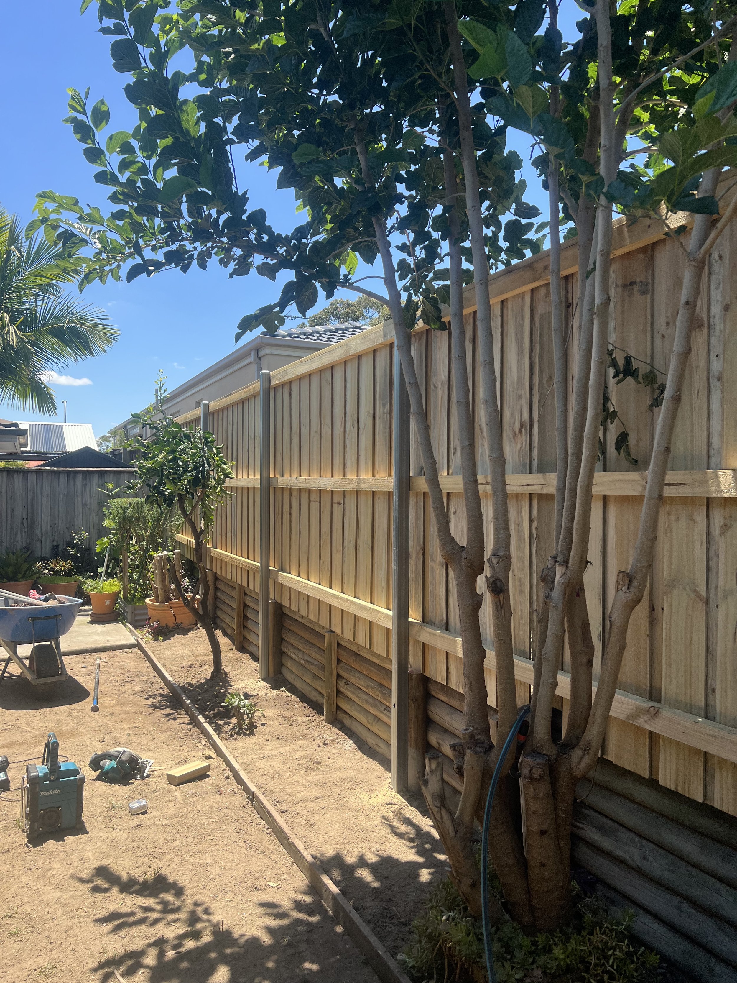 A backyard with a tall wooden fence under construction, including trees, potted plants, a wheelbarrow, and tools on the ground.